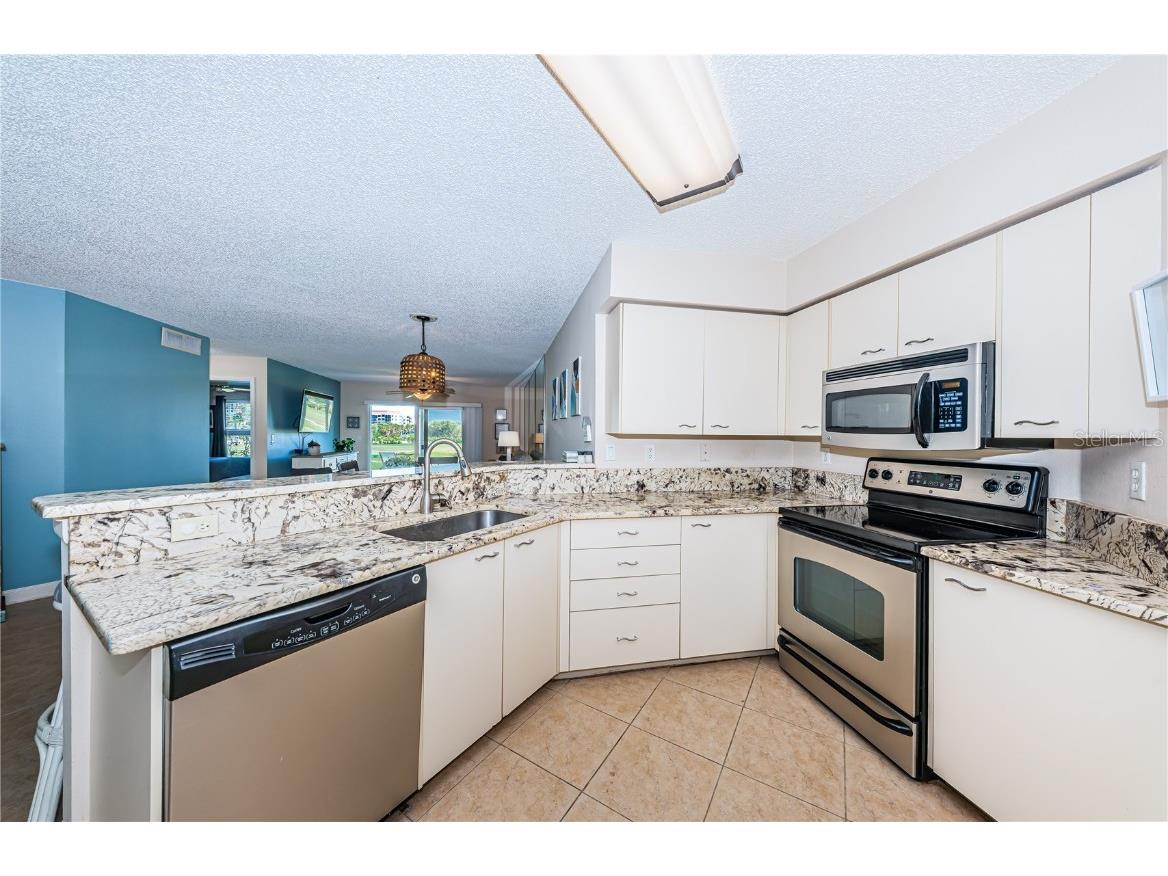 6191 Bahia Del Mar Boulevard #103 Saint Petersburg FL 33715 TB8374965 image26