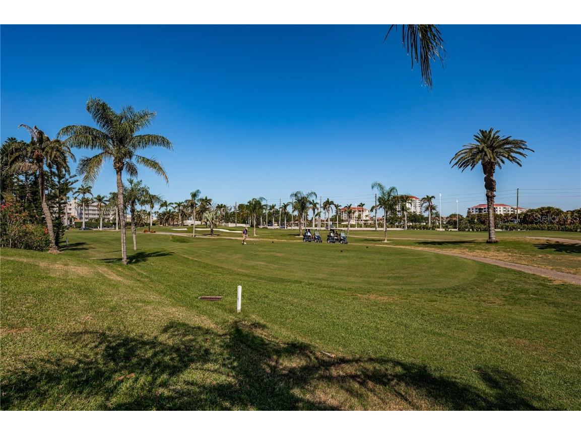 6191 Bahia Del Mar Boulevard #103 Saint Petersburg FL 33715 TB8374965 image44
