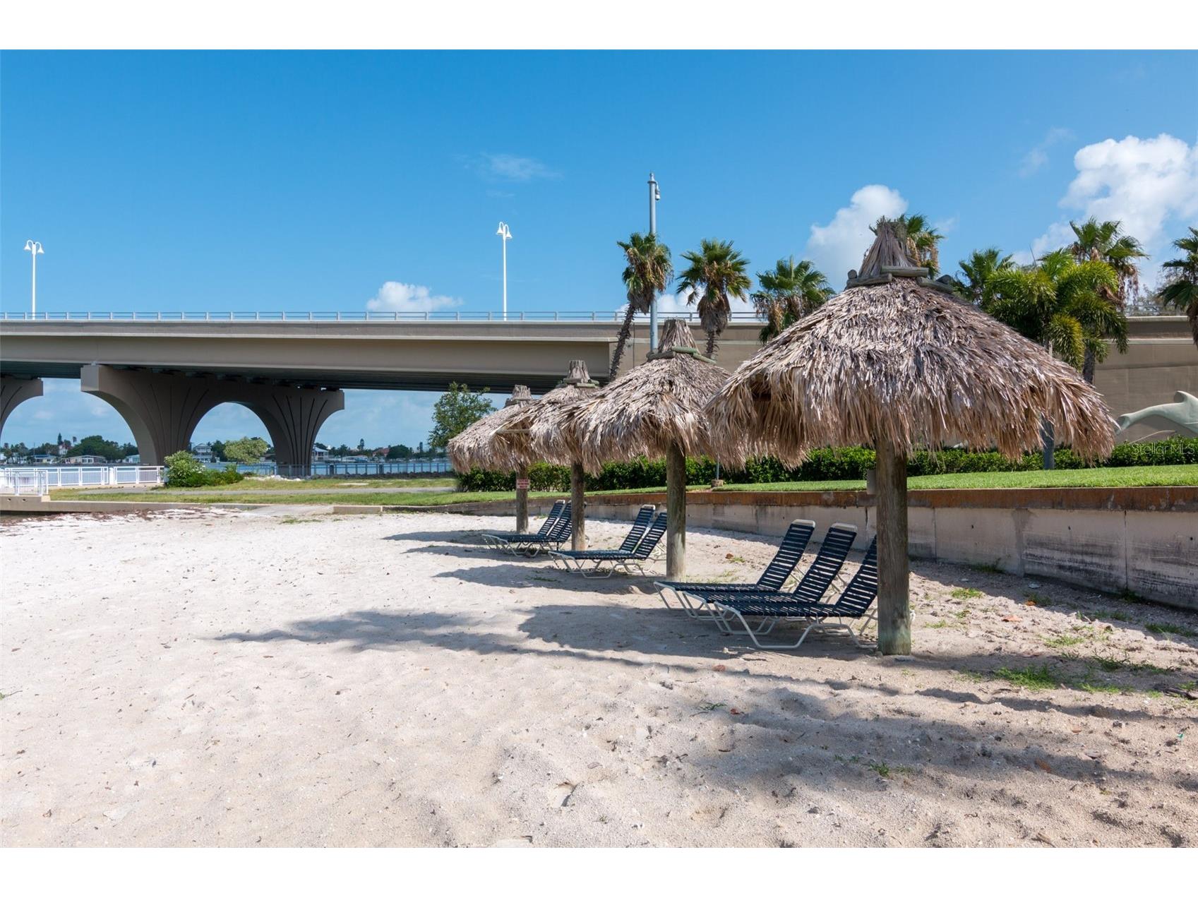 6191 Bahia Del Mar S #105 Saint Petersburg FL 33715 TB8475608 image22