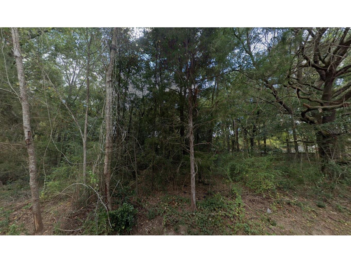 6195 Kirby Street Milton FL 32570 A4695965 image2