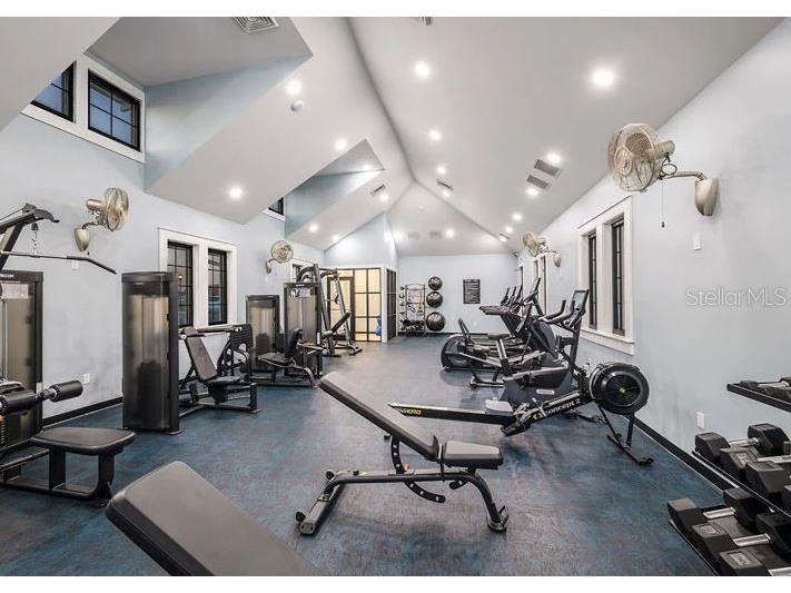 6196 Hidden Branch Drive Apollo Beach FL 33572 TB8506415 image50