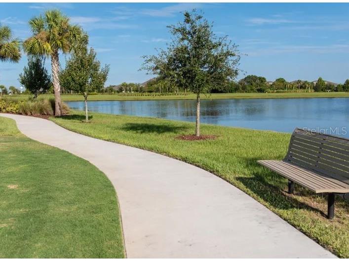 6196 Hidden Branch Drive Apollo Beach FL 33572 TB8506415 image51