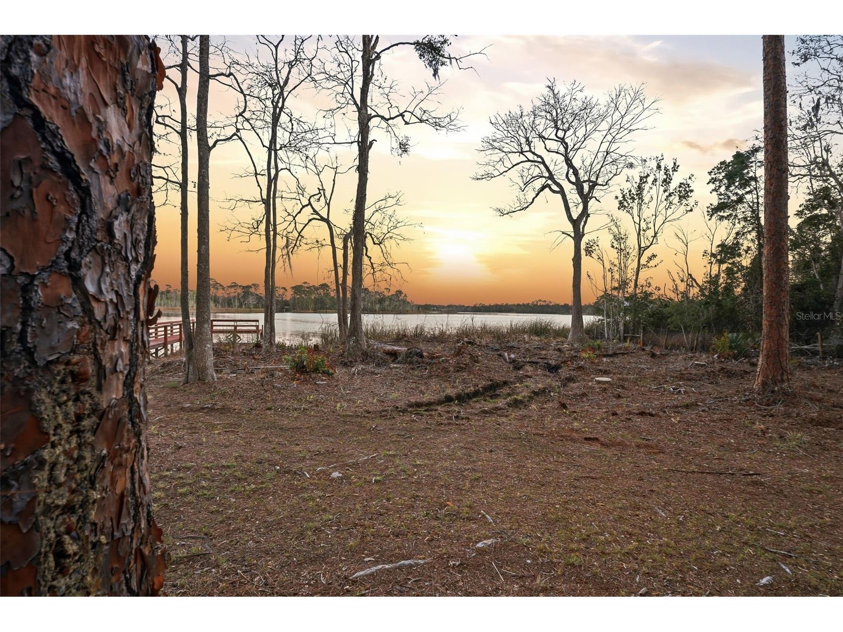 6197 Lake Winona Road De Leon Springs FL 32130 - LAKE CLIFTON V4947408 image2