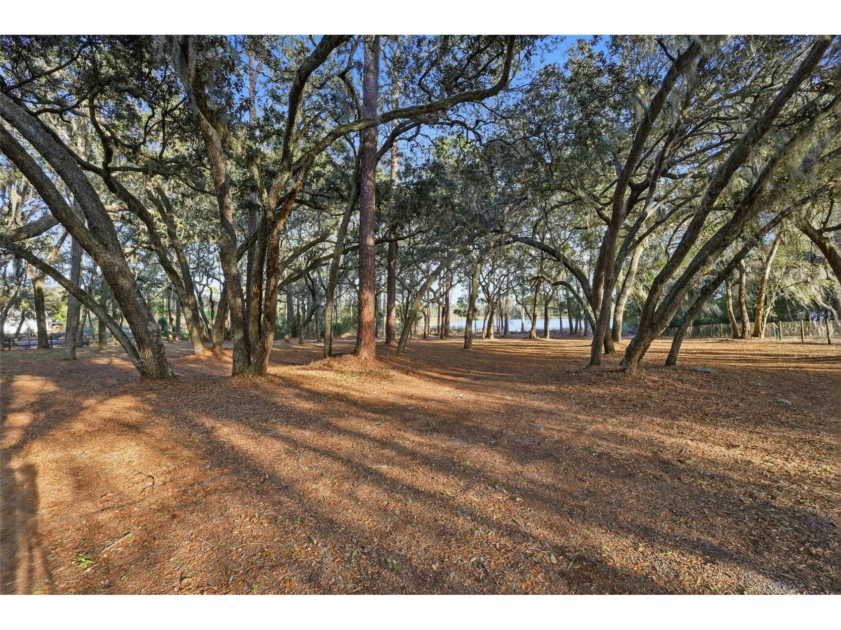 6197 Lake Winona Road De Leon Springs FL 32130 - LAKE CLIFTON V4947408 image32