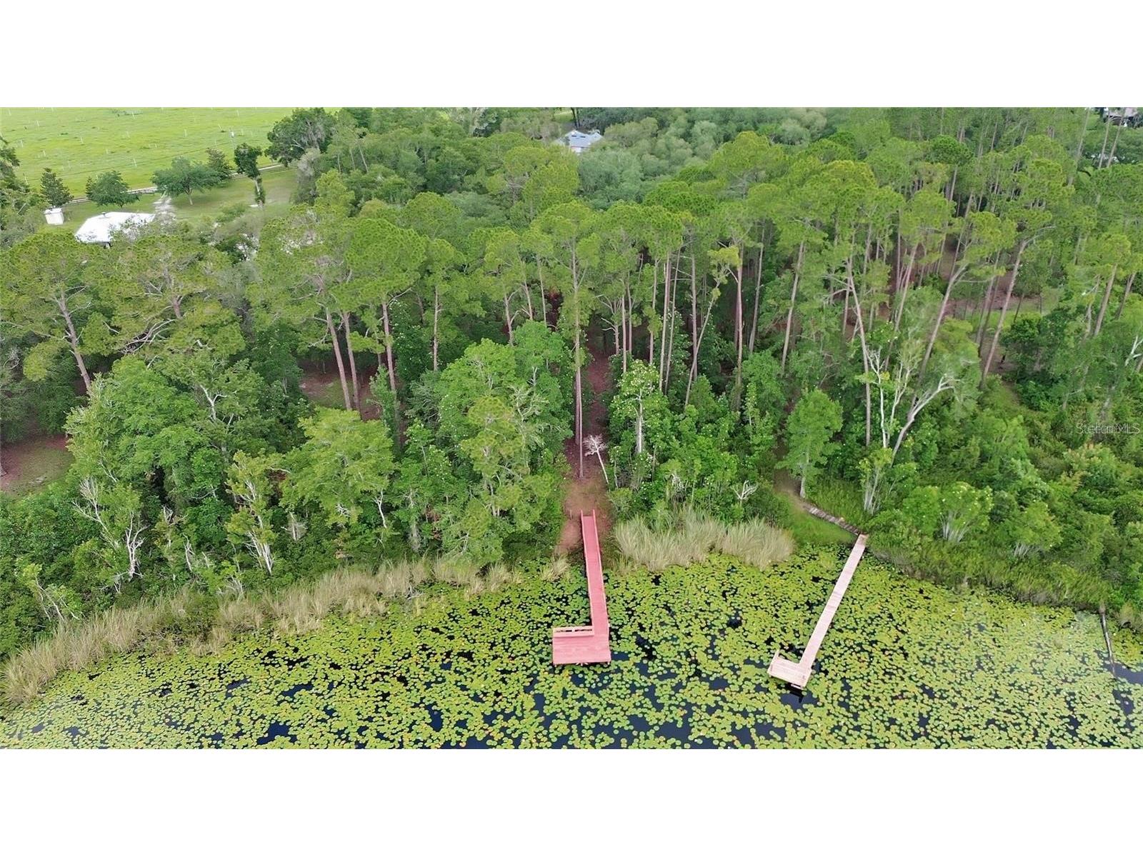 6197 Lake Winona Road De Leon Springs FL 32130 - LAKE CLIFTON V4947408 image37