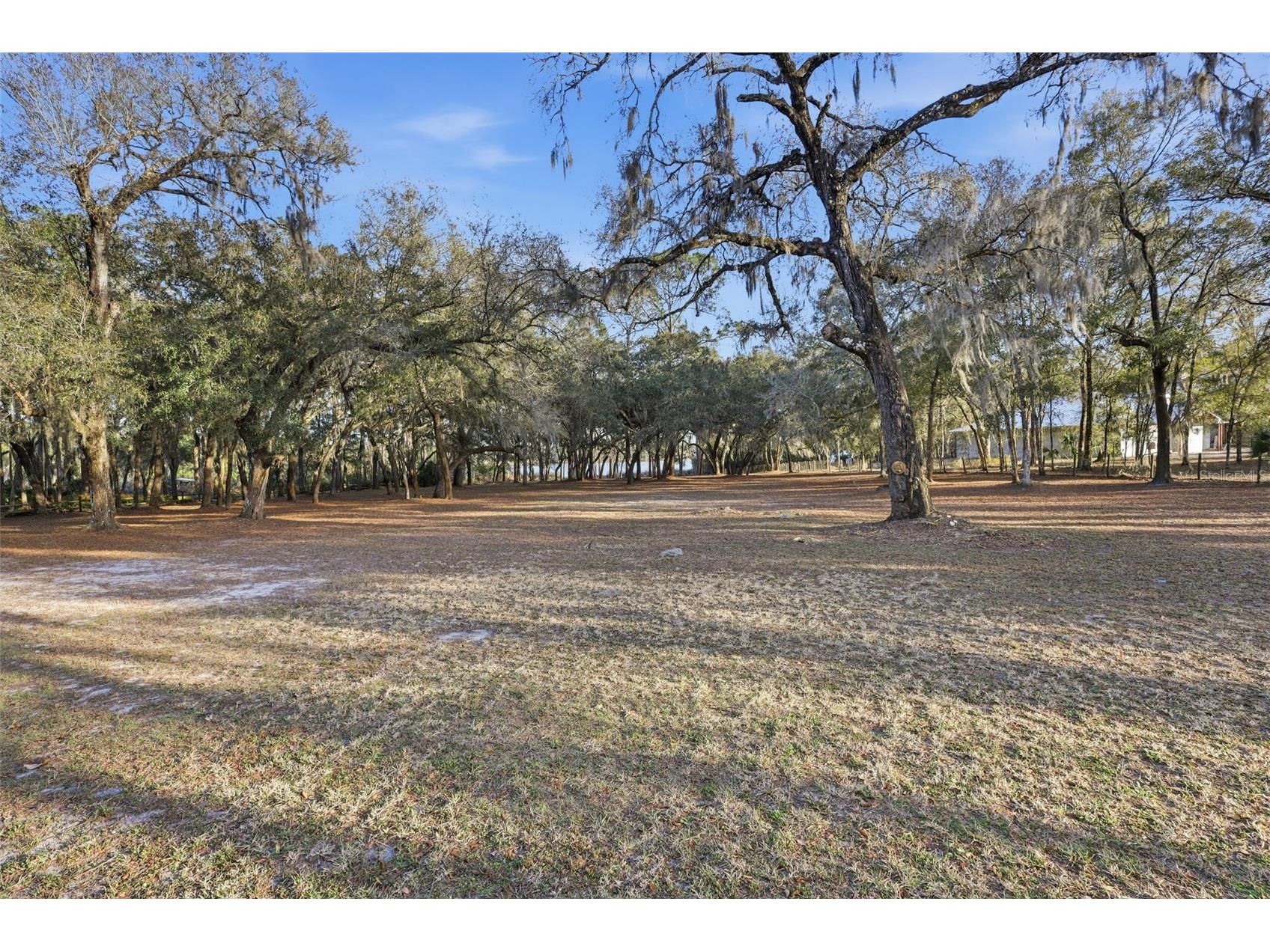 6197 Lake Winona Road De Leon Springs FL 32130 - LAKE CLIFTON V4947408 image43