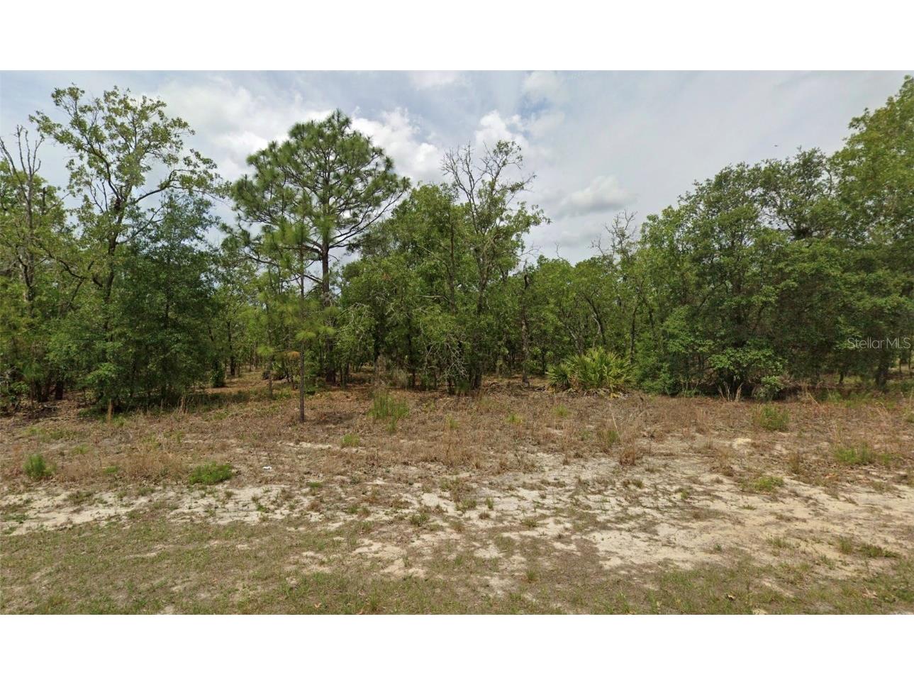 6198 N Darlington Drive Citrus Springs FL 34434 OM694052 image1