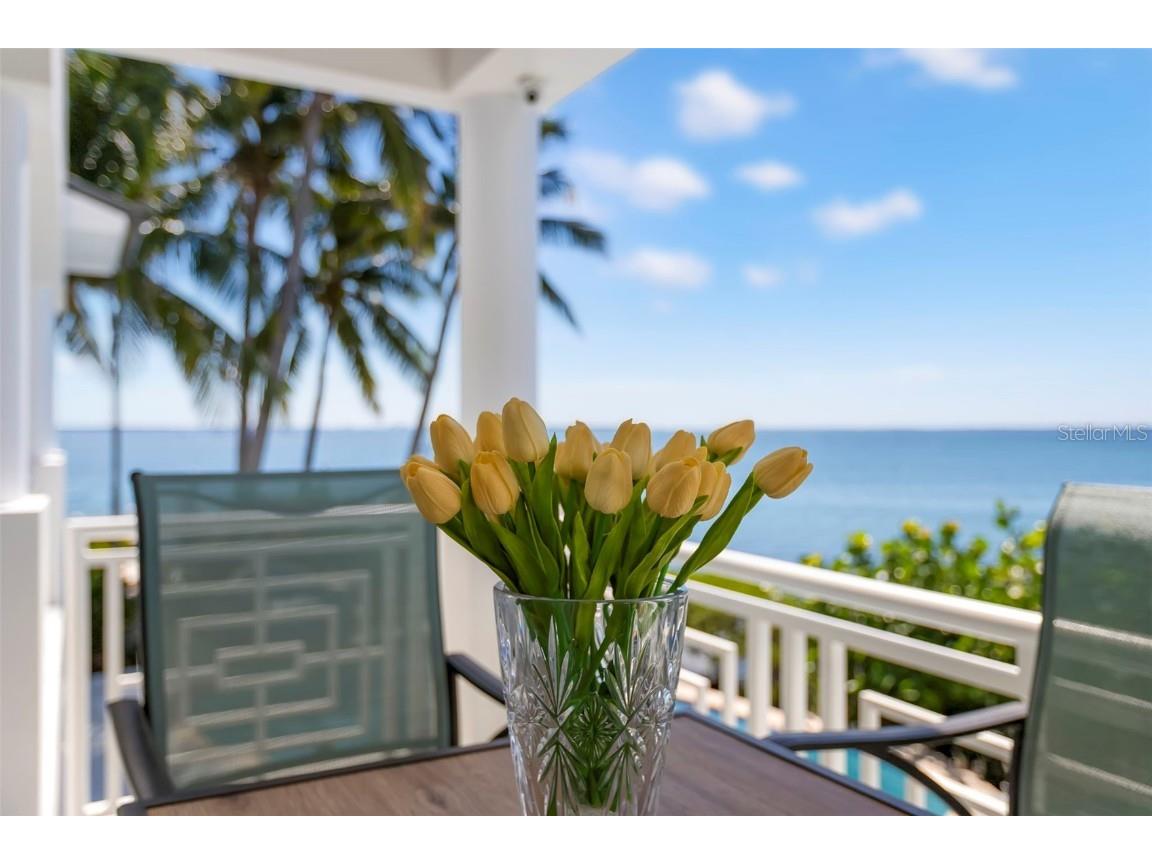 6199 54th Street S Saint Petersburg FL 33715 TB8439000 image5