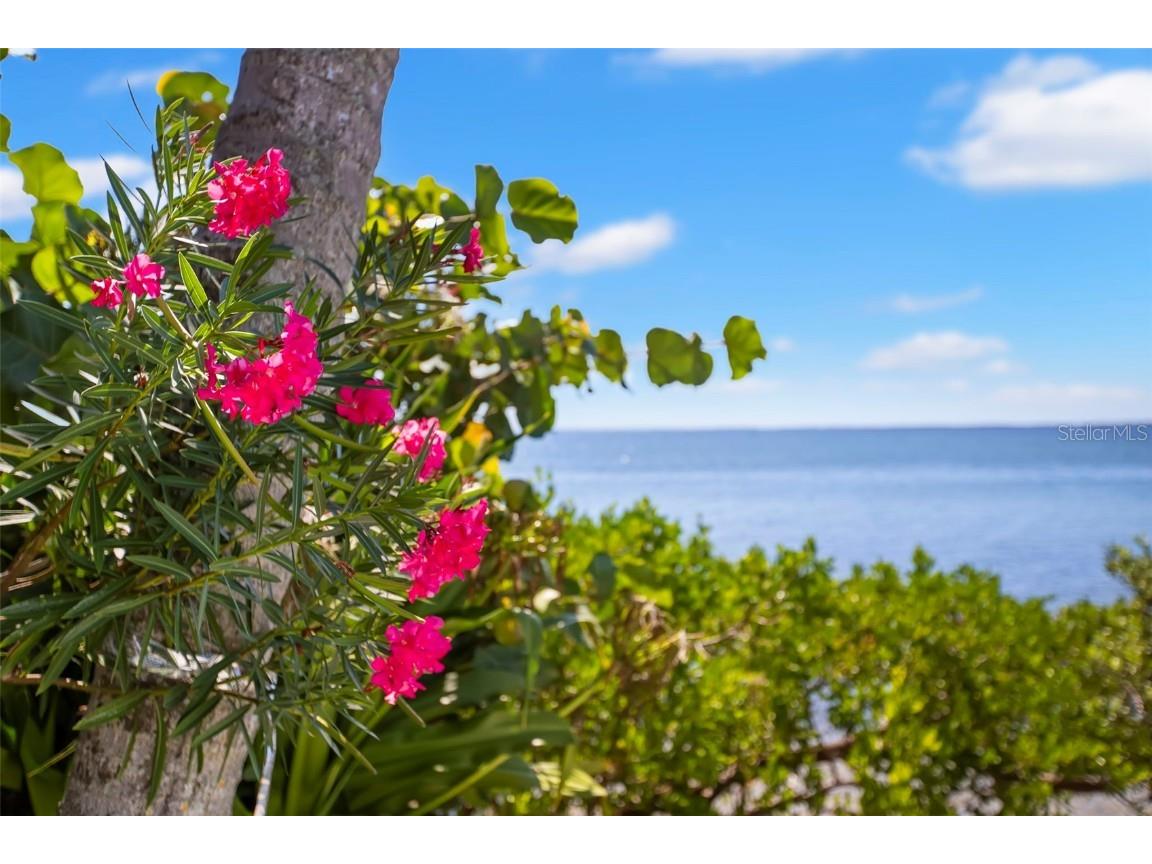 6199 54th Street S Saint Petersburg FL 33715 TB8439000 image63