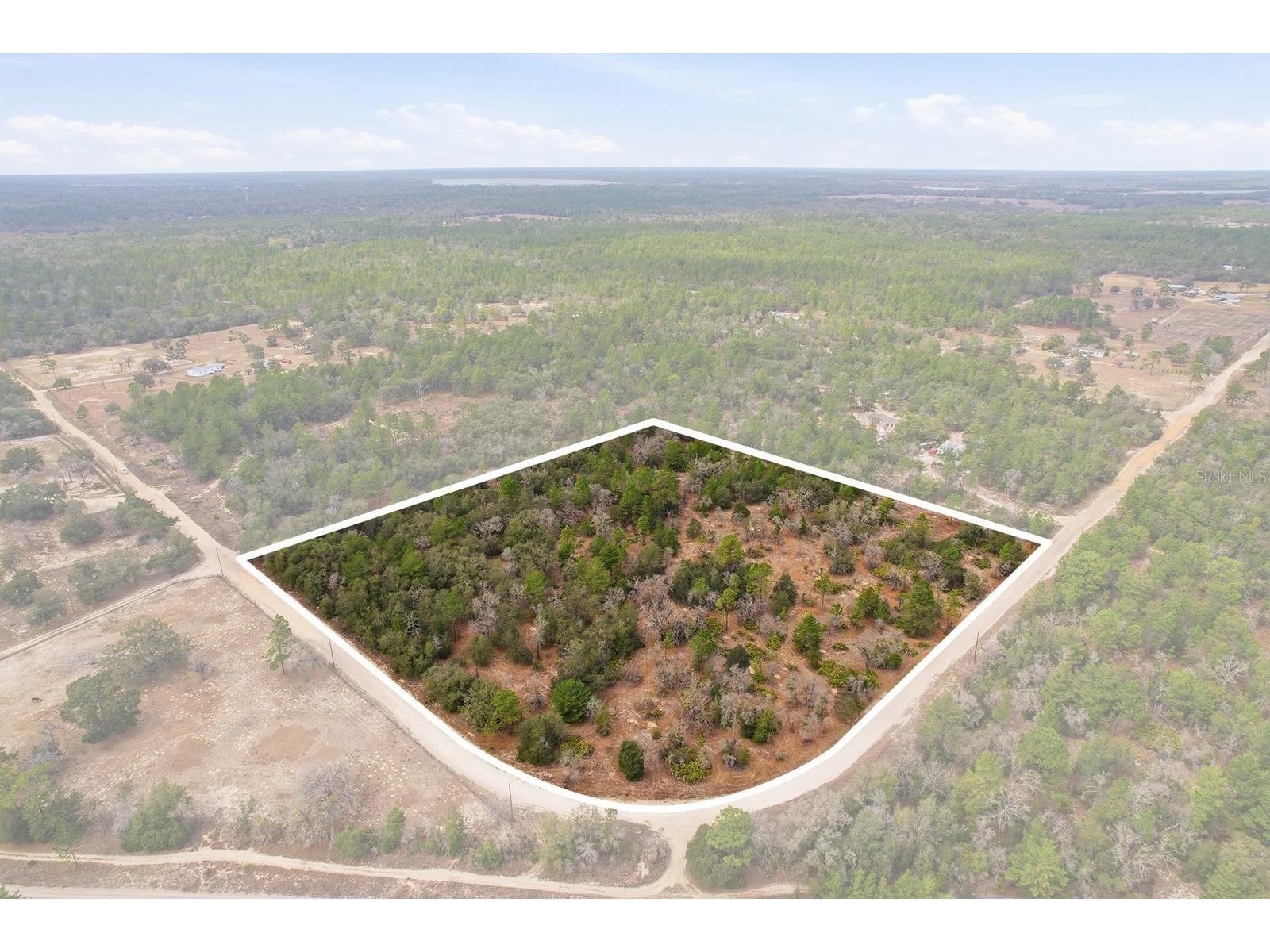 6199 W Peking Court Dunnellon FL 34433 OM719818 image1
