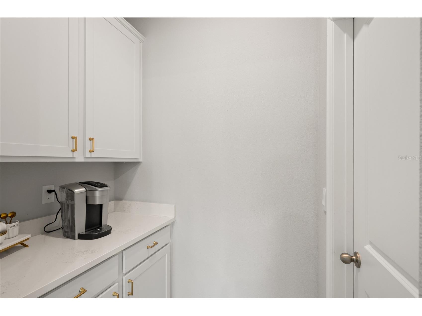 6199 Wandering Willow Drive Wesley Chapel FL 33545 TB8482274 image21