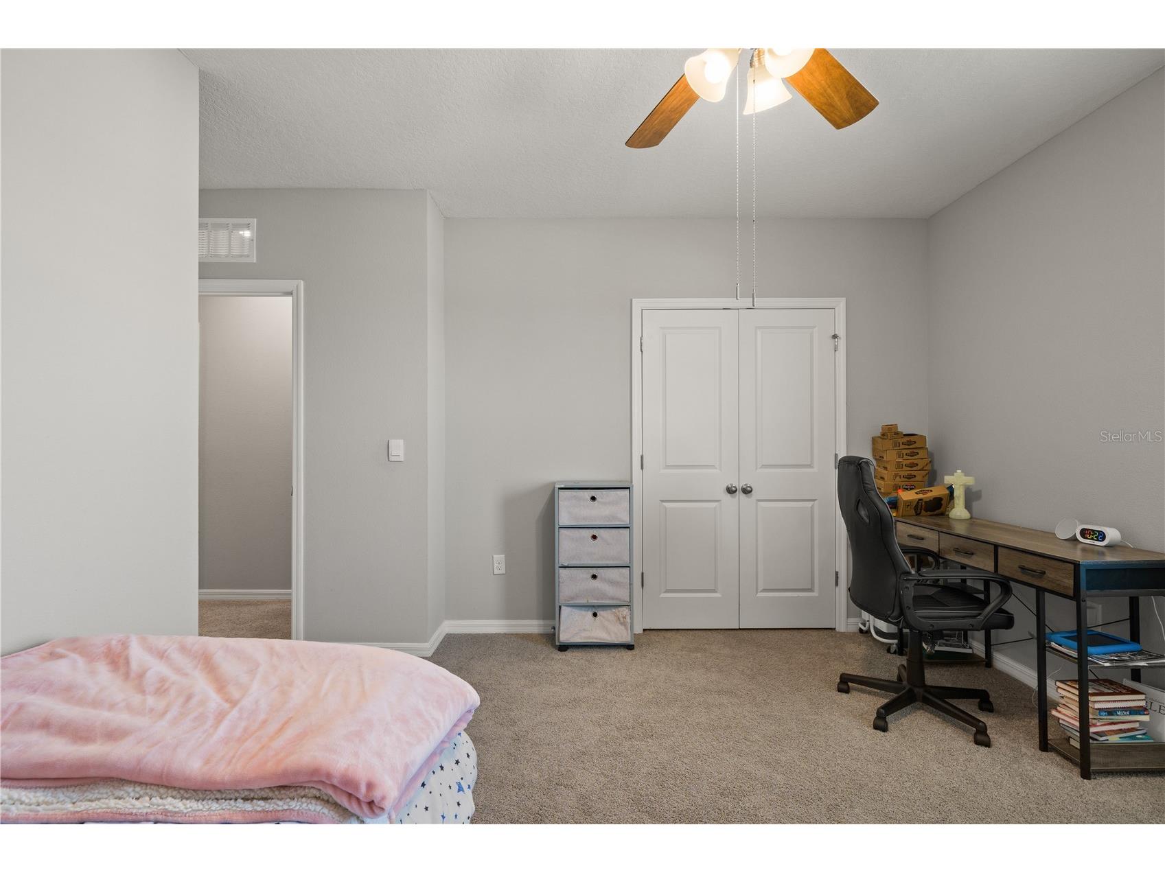 6199 Wandering Willow Drive Wesley Chapel FL 33545 TB8482274 image29