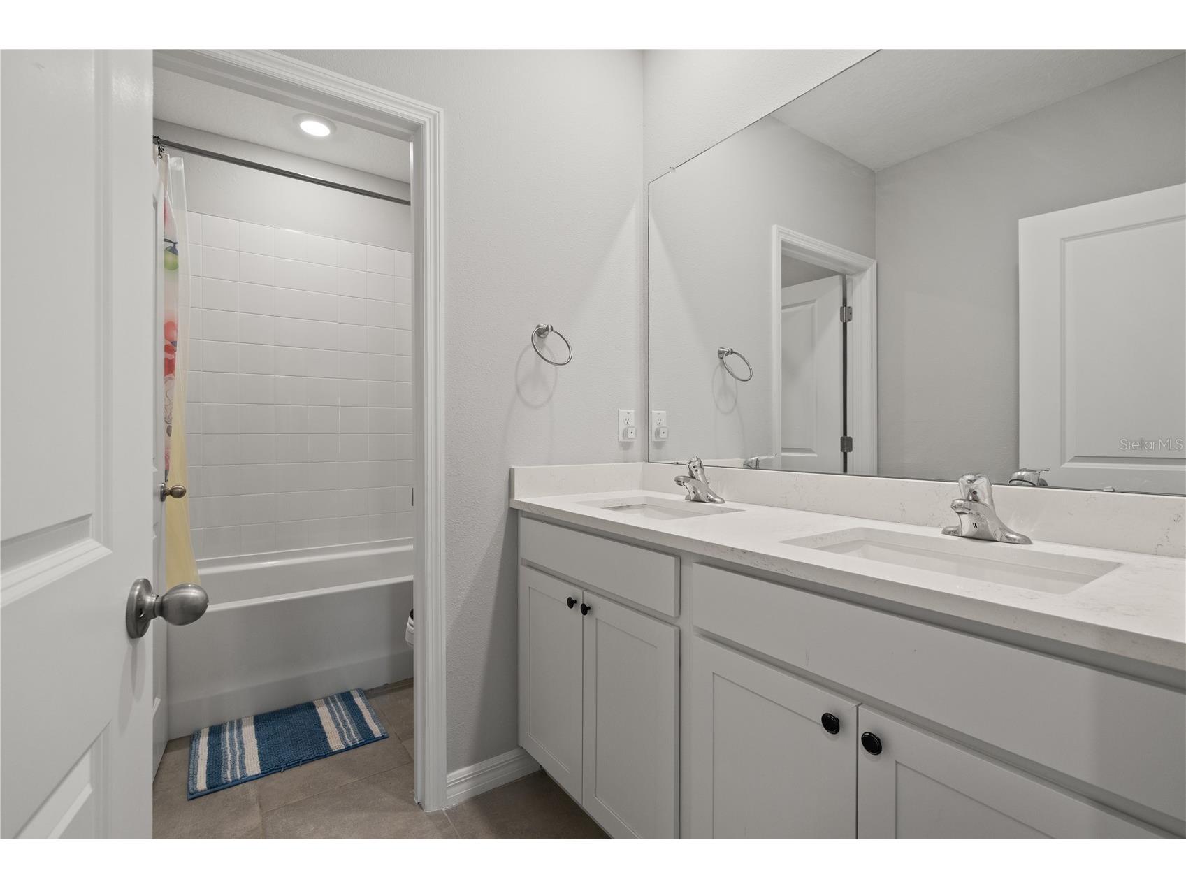 6199 Wandering Willow Drive Wesley Chapel FL 33545 TB8482274 image30