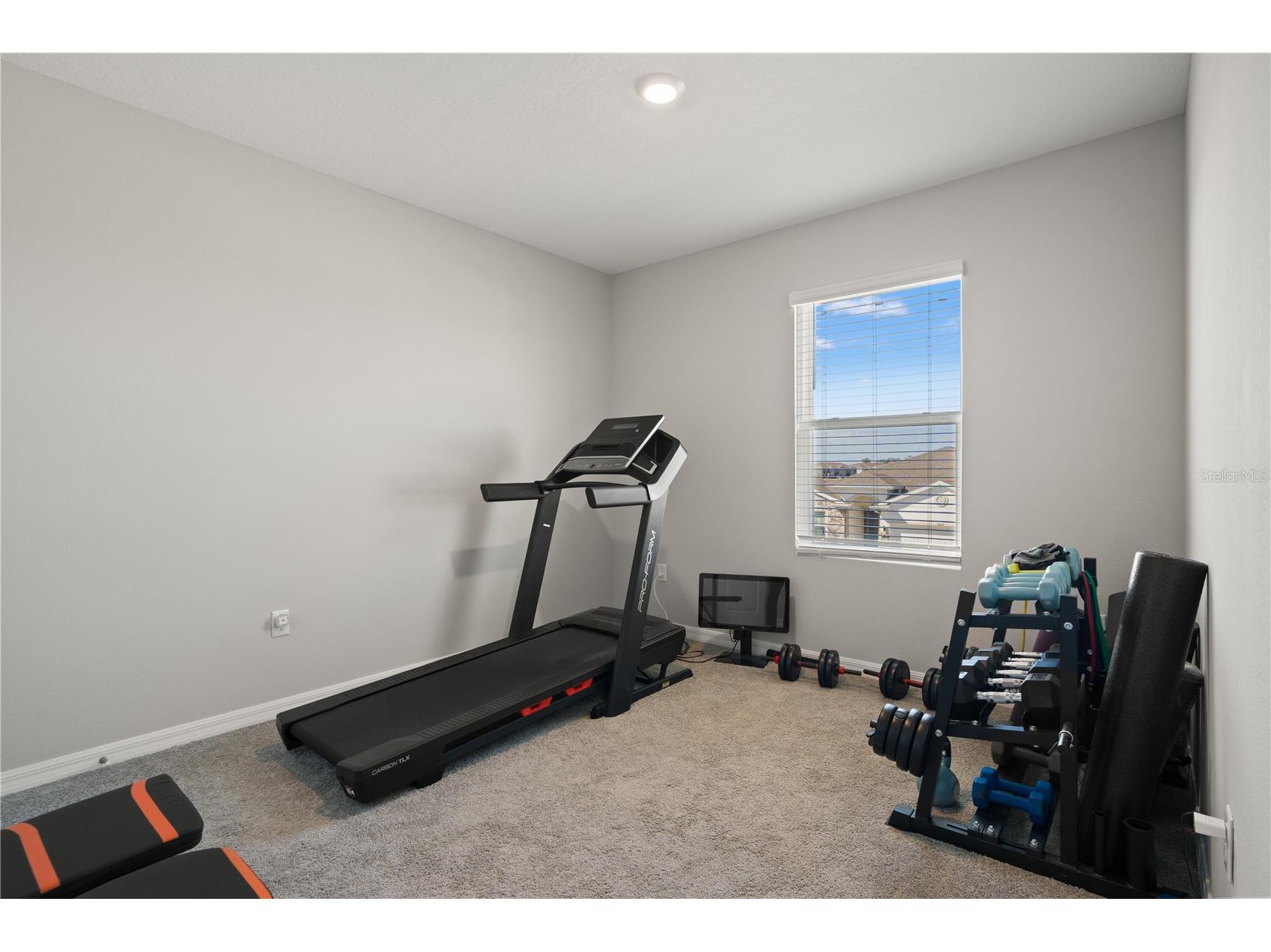 6199 Wandering Willow Drive Wesley Chapel FL 33545 TB8482274 image34