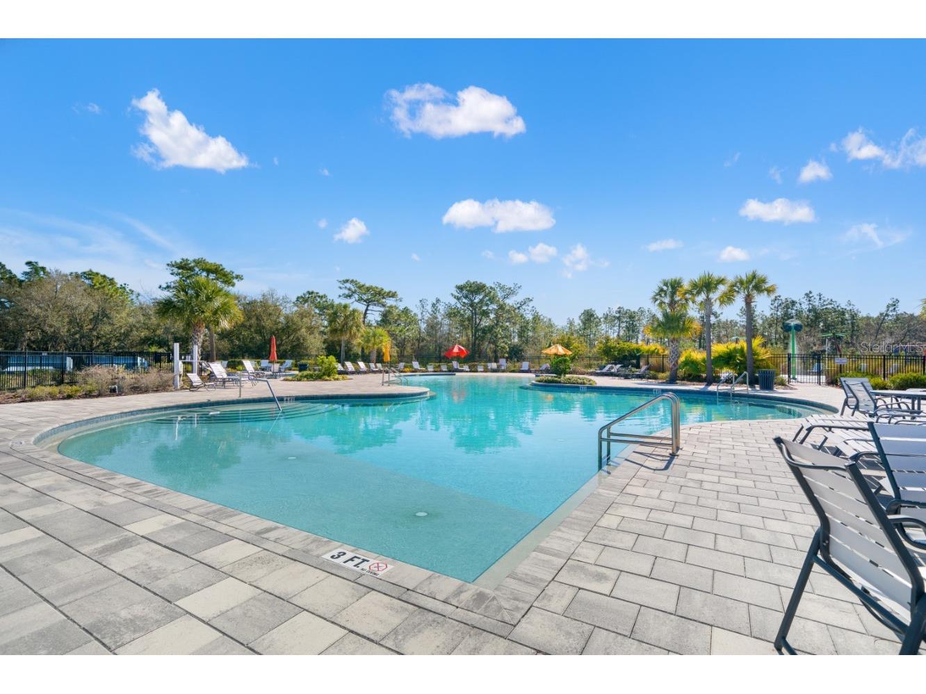 6199 Wandering Willow Drive Wesley Chapel FL 33545 TB8482274 image46