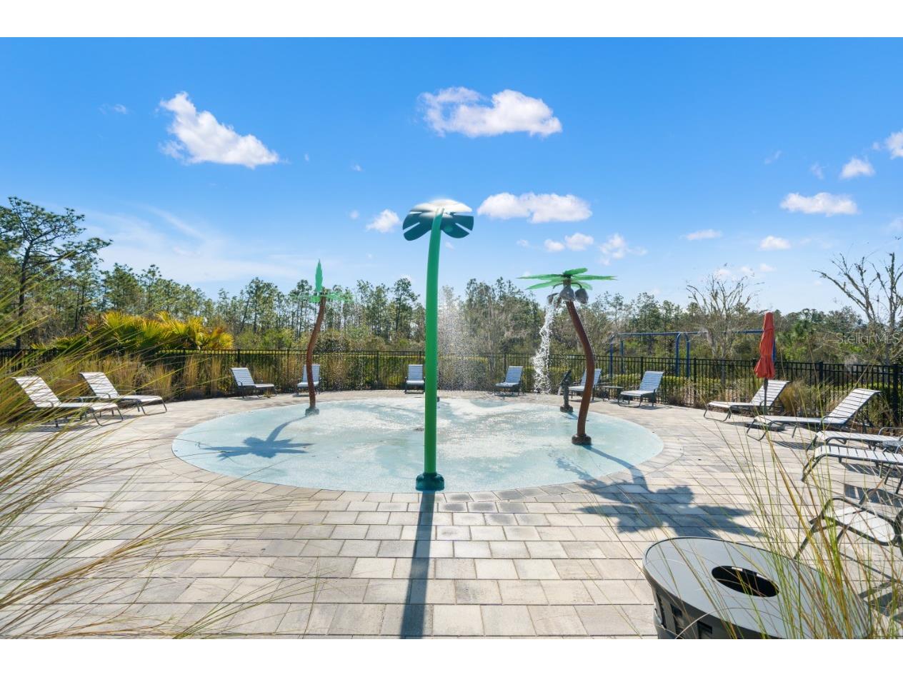 6199 Wandering Willow Drive Wesley Chapel FL 33545 TB8482274 image47