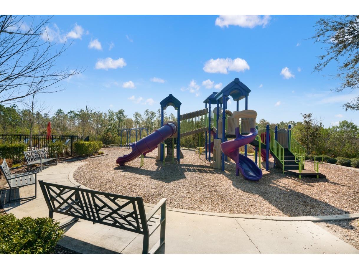 6199 Wandering Willow Drive Wesley Chapel FL 33545 TB8482274 image48