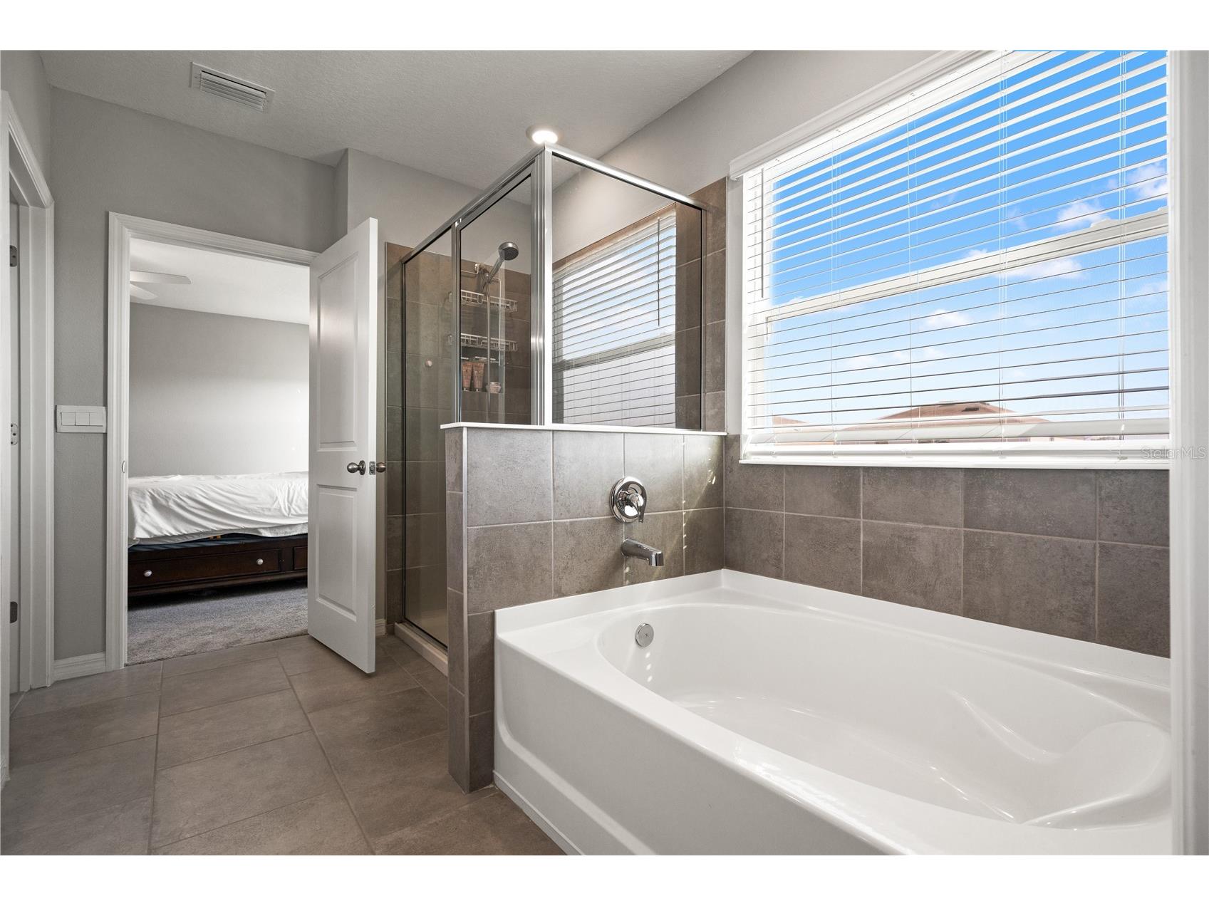 6199 Wandering Willow Drive Wesley Chapel FL 33545 TB8482274 image8
