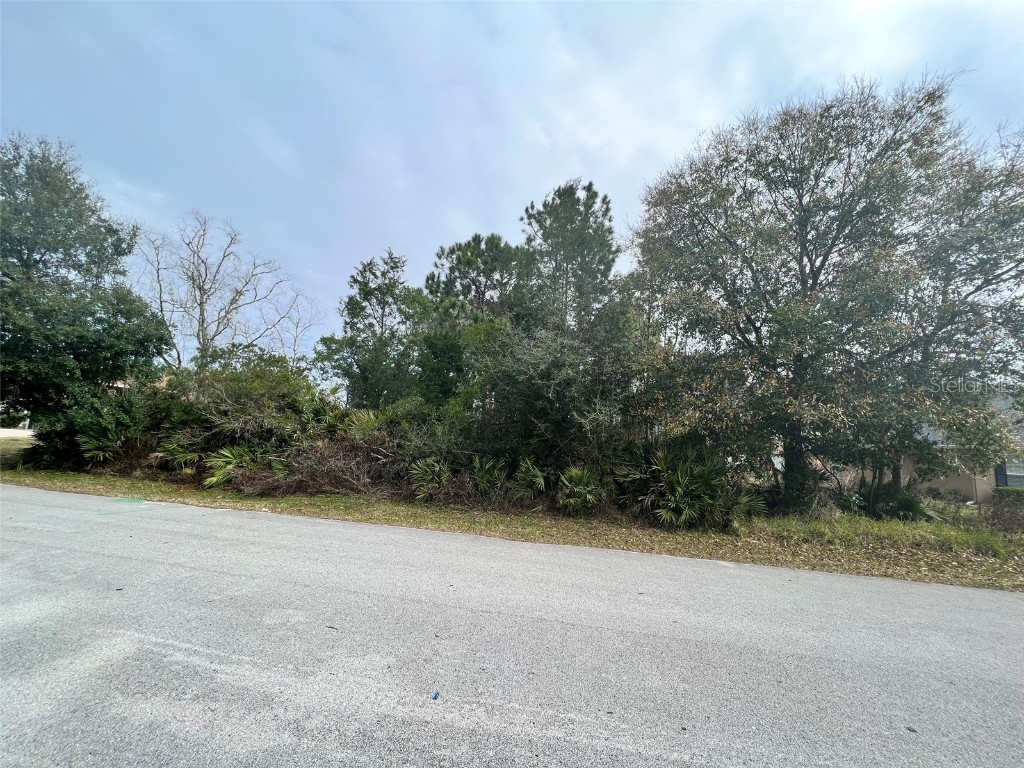 62 Bickford Drive Palm Coast FL 32137 T3473009 image1
