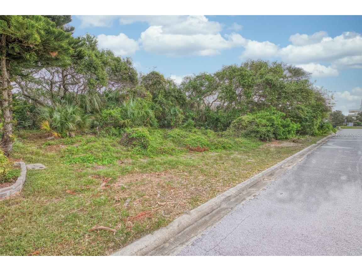 62 Buschman Drive Ponce Inlet FL 32127 V4927529 image2