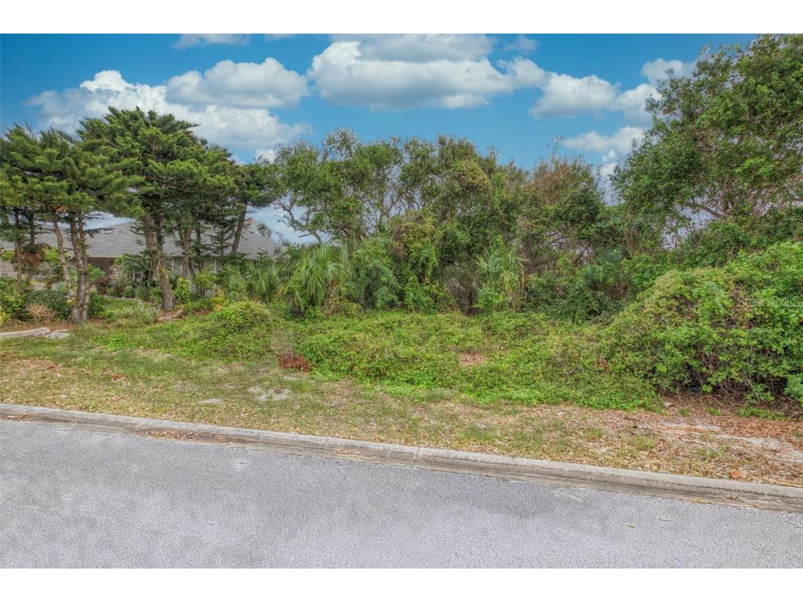 62 Buschman Drive Ponce Inlet FL 32127 V4927529 image6