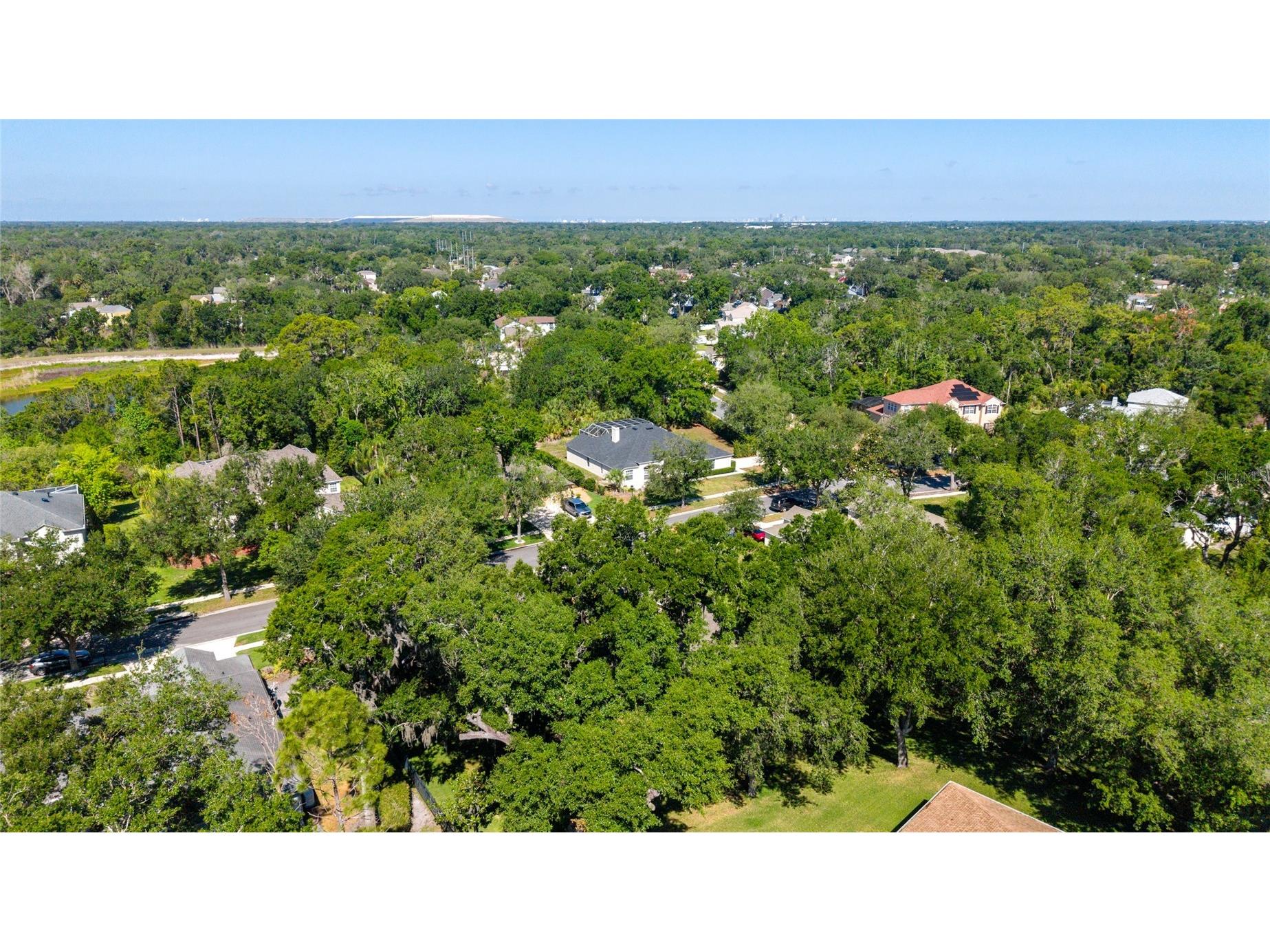 62 Camelot Ridge Drive Brandon FL 33511 TB8505779 image67