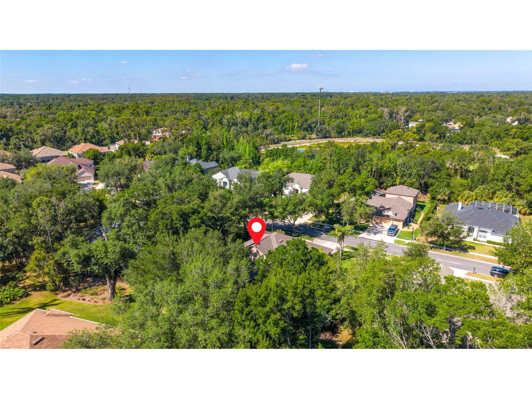 62 Camelot Ridge Drive Brandon FL 33511 TB8505779 image70