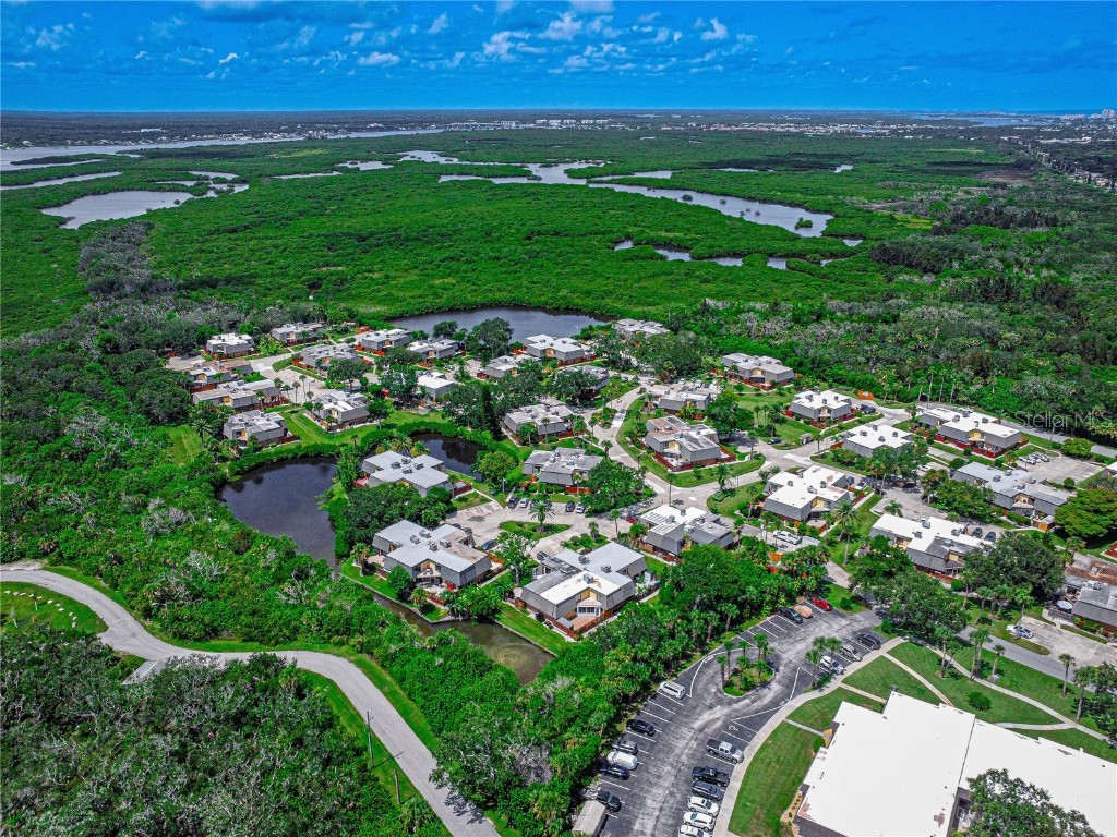 62 Cedar Dunes Drive New Smyrna Beach FL 32169 NS1085924 image26