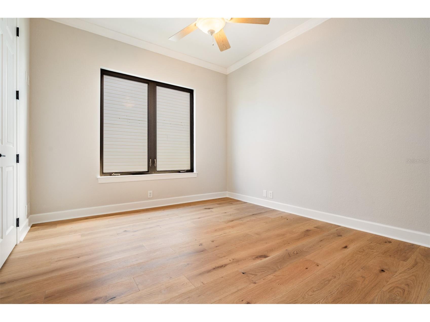 62 Central Court Tarpon Springs FL 34689 TB8492916 image27
