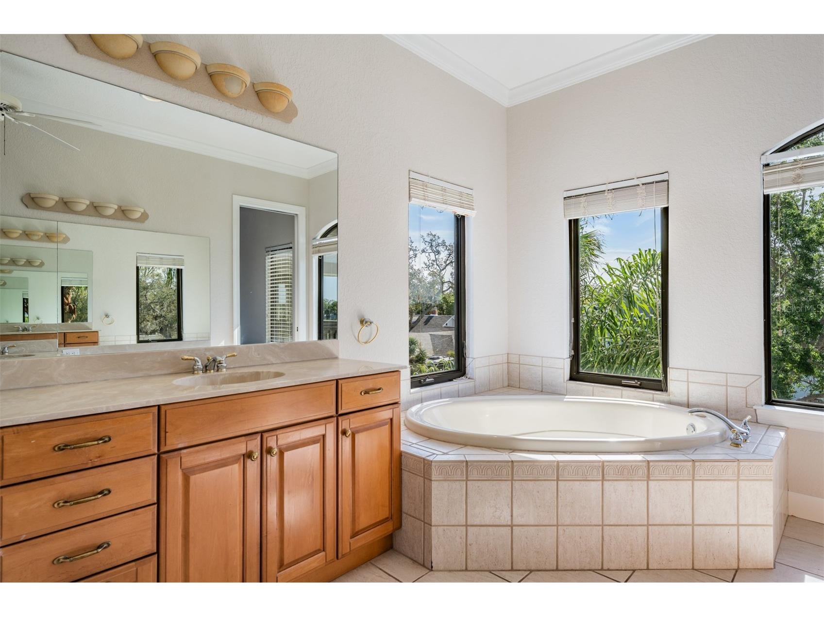 62 Central Court Tarpon Springs FL 34689 TB8492916 image45