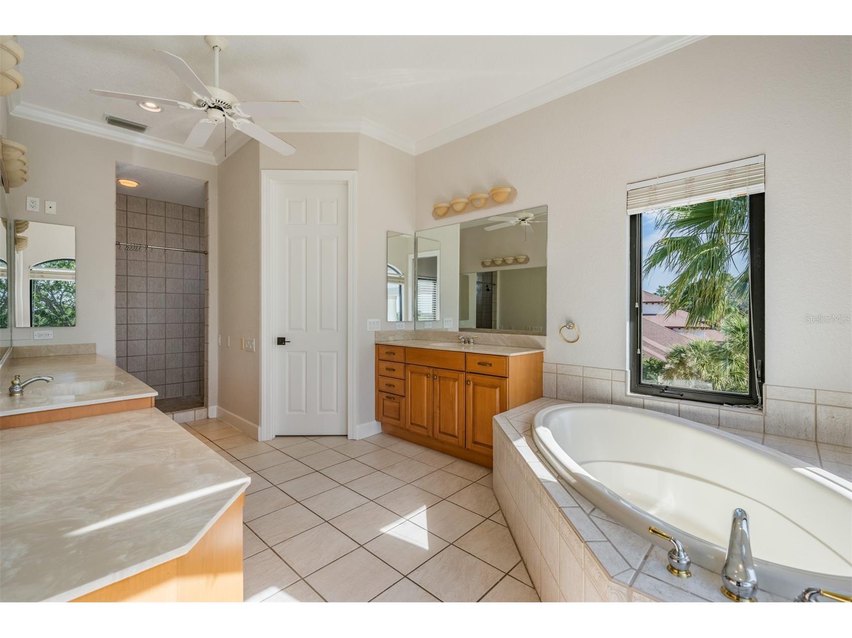 62 Central Court Tarpon Springs FL 34689 TB8492916 image47