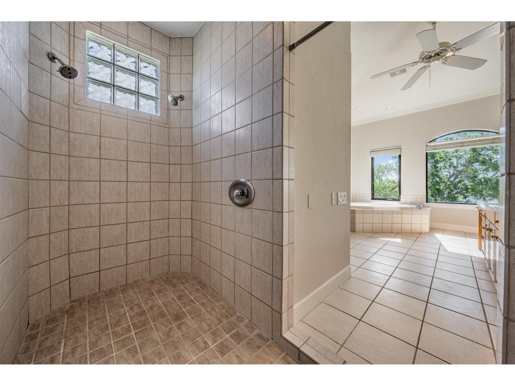 62 Central Court Tarpon Springs FL 34689 TB8492916 image48