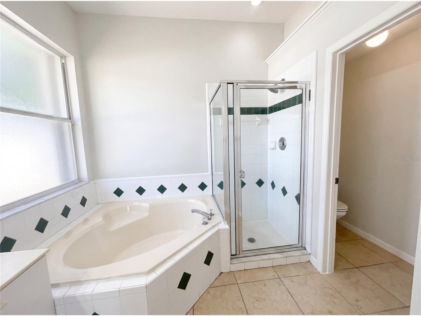 62 Cordona Drive Kissimmee FL 34758 O6415805 image24