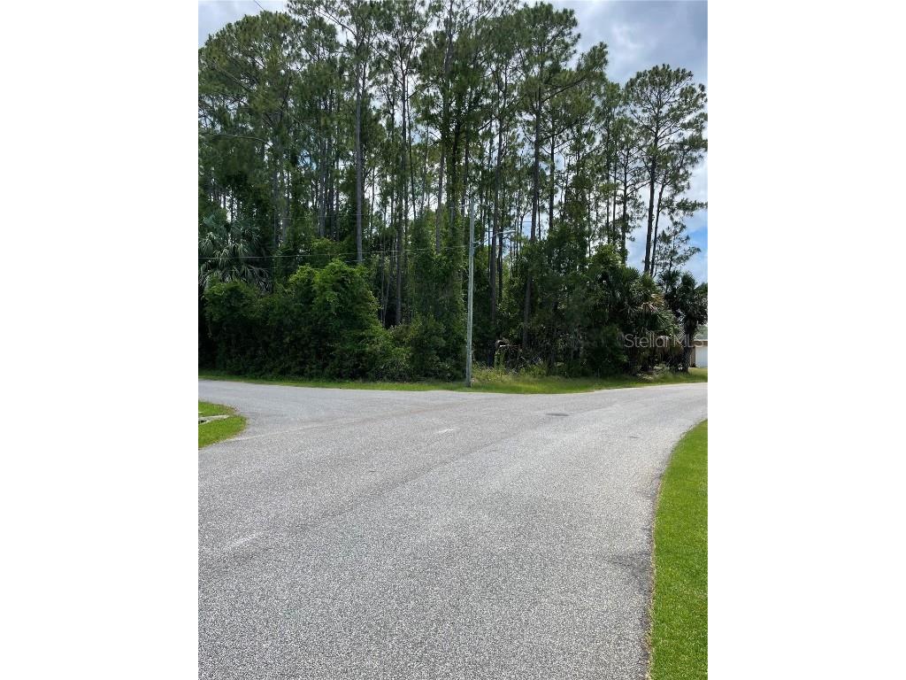 62 Fountain Gate Ln. Palm Coast FL 32137 FC301384 image1