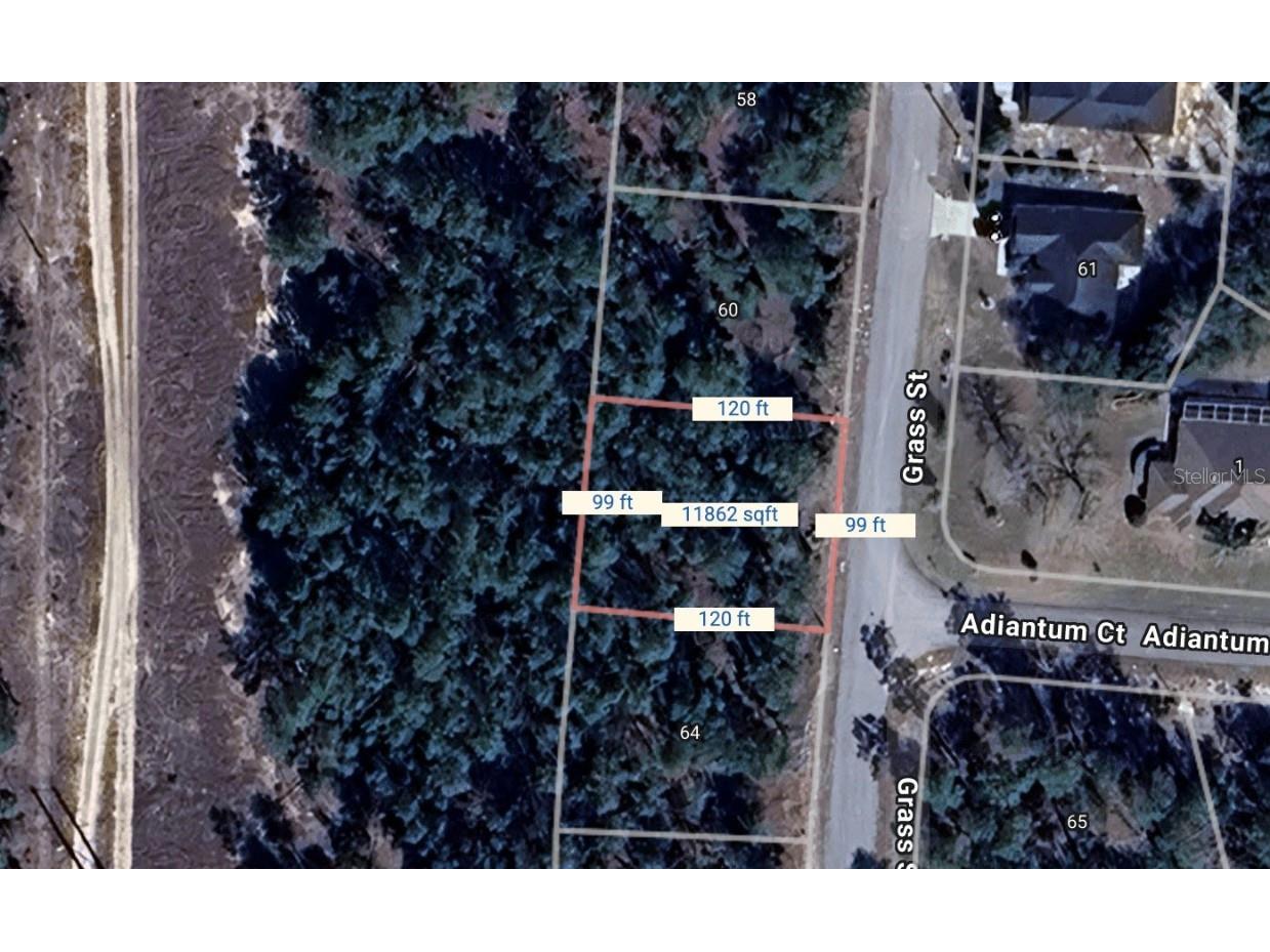 62 Grass Street Homosassa FL 34446 O6309390 image1