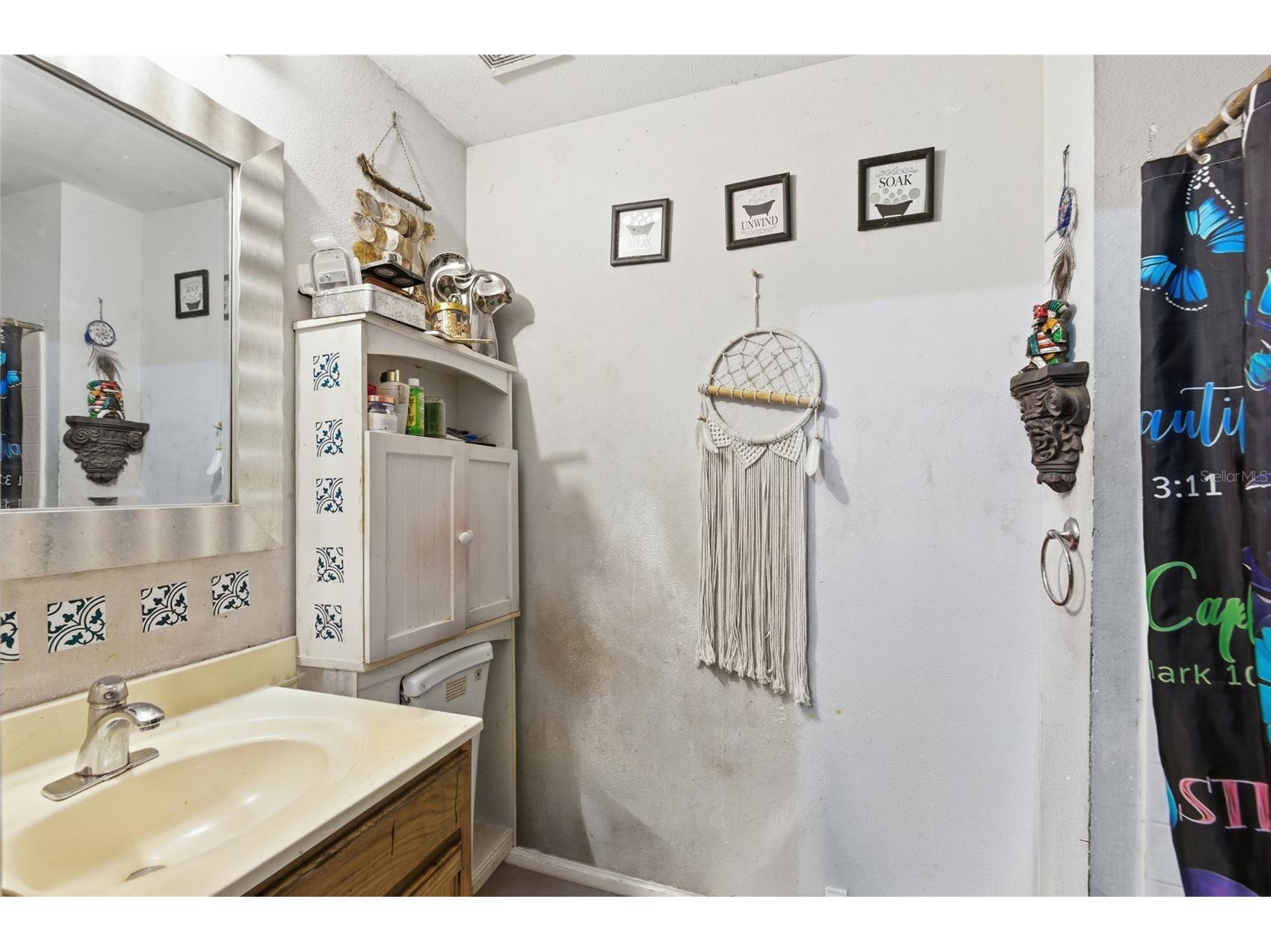 62 Herring Court Kissimmee FL 34759 TB8512341 image24