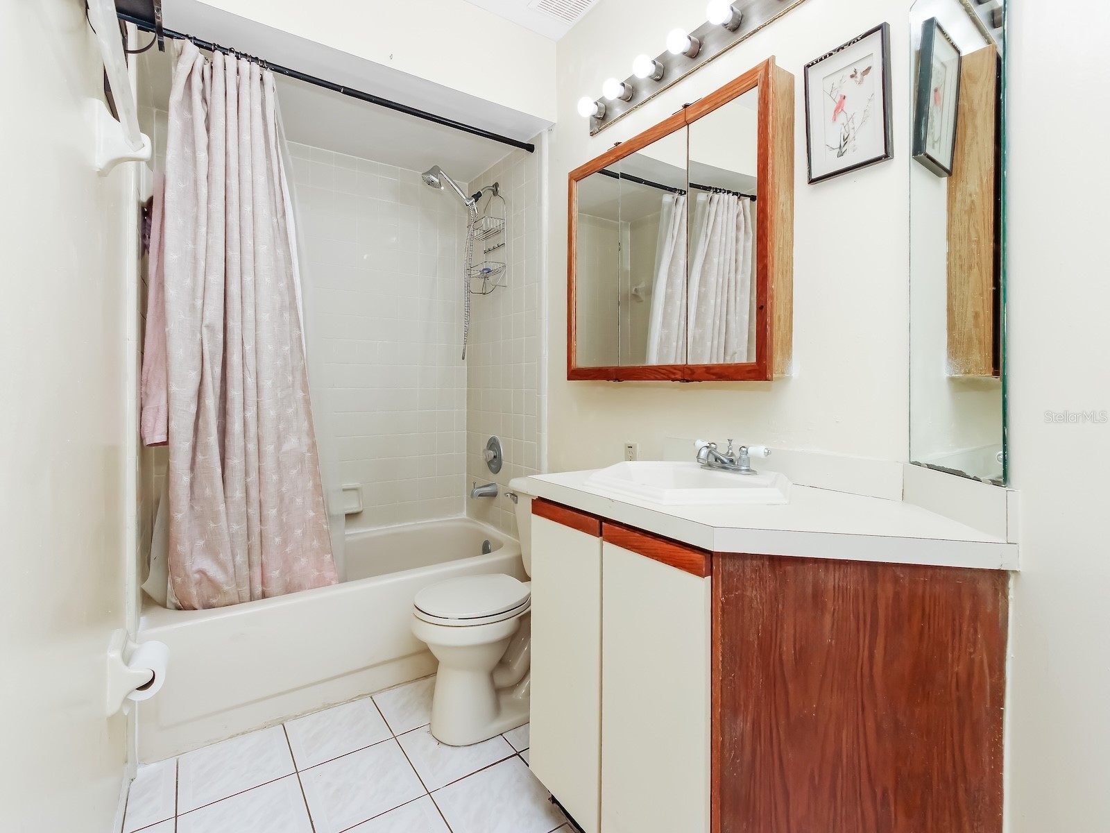 62 Lakepointe Circle Kissimmee FL 34743 O6386858 image17
