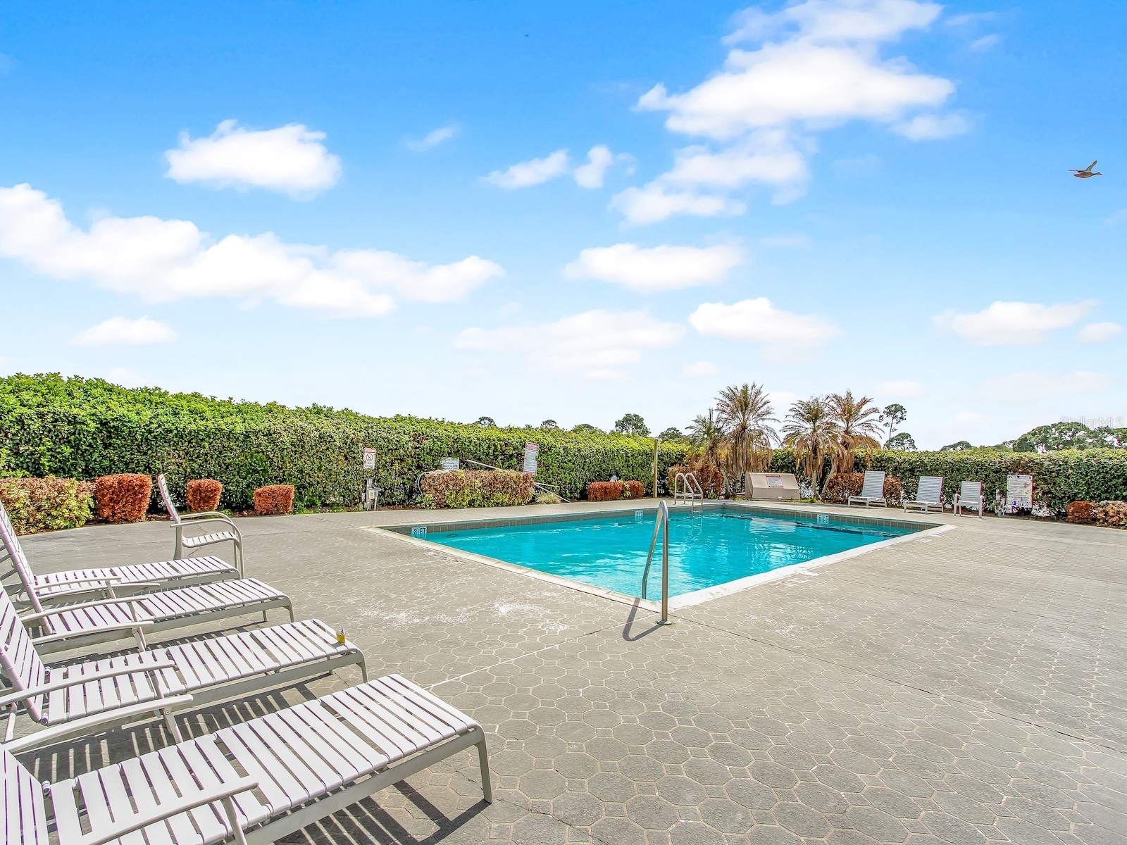 62 Lakepointe Circle Kissimmee FL 34743 O6386858 image26