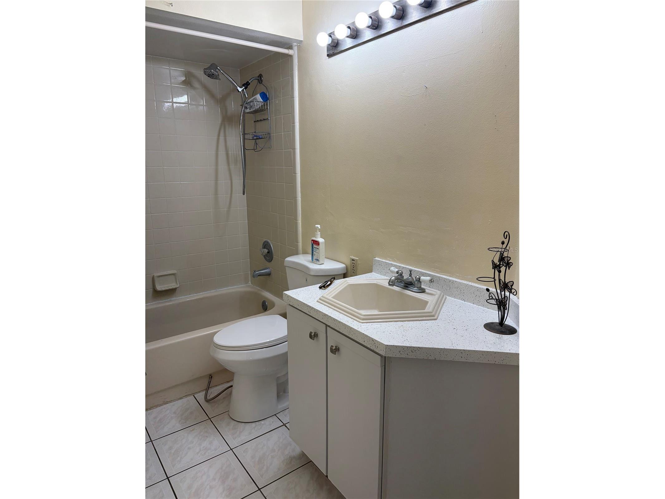 62 Lakepointe Circle Kissimmee FL 34743 O6386858 image31