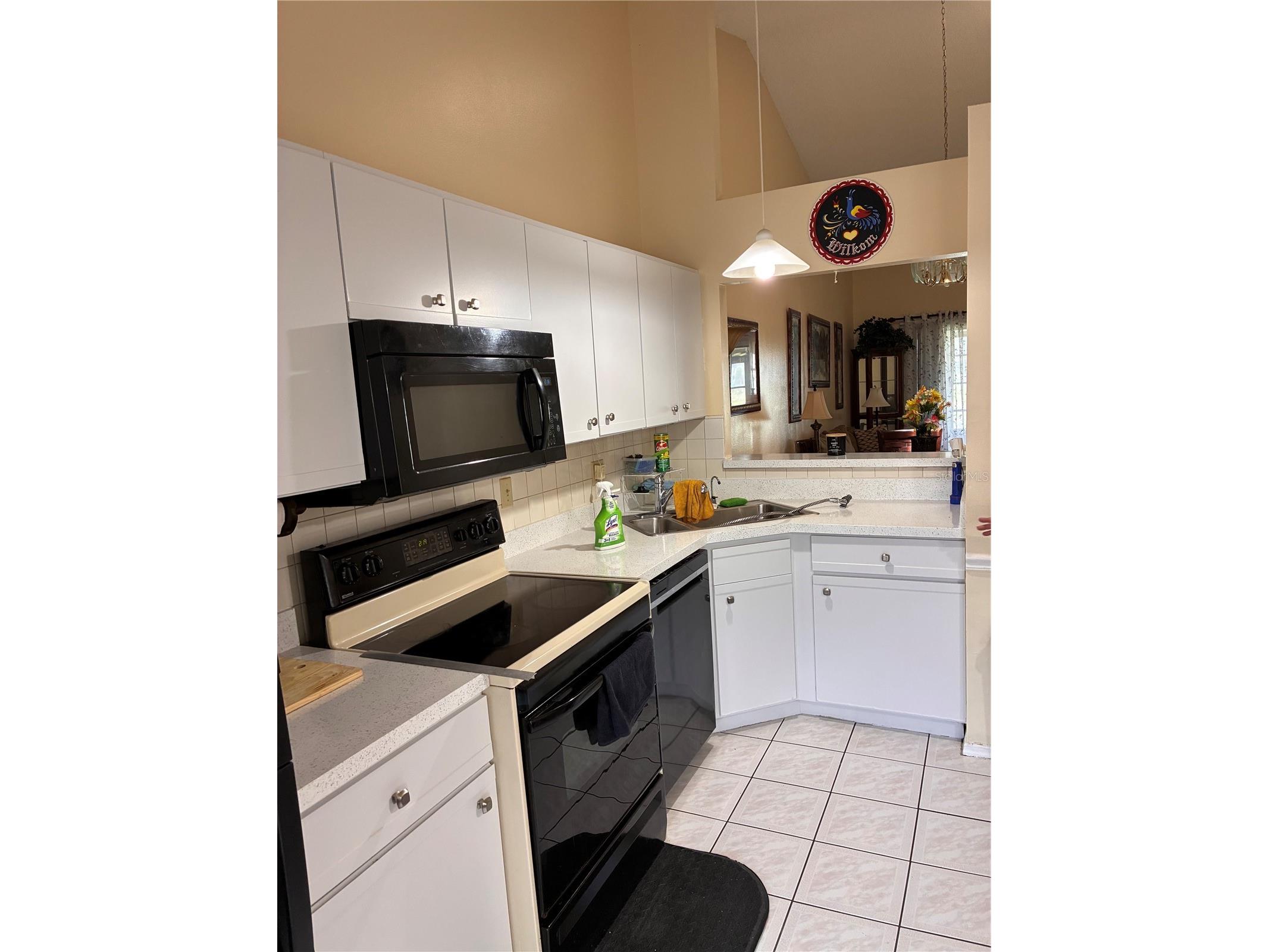 62 Lakepointe Circle Kissimmee FL 34743 O6386858 image32