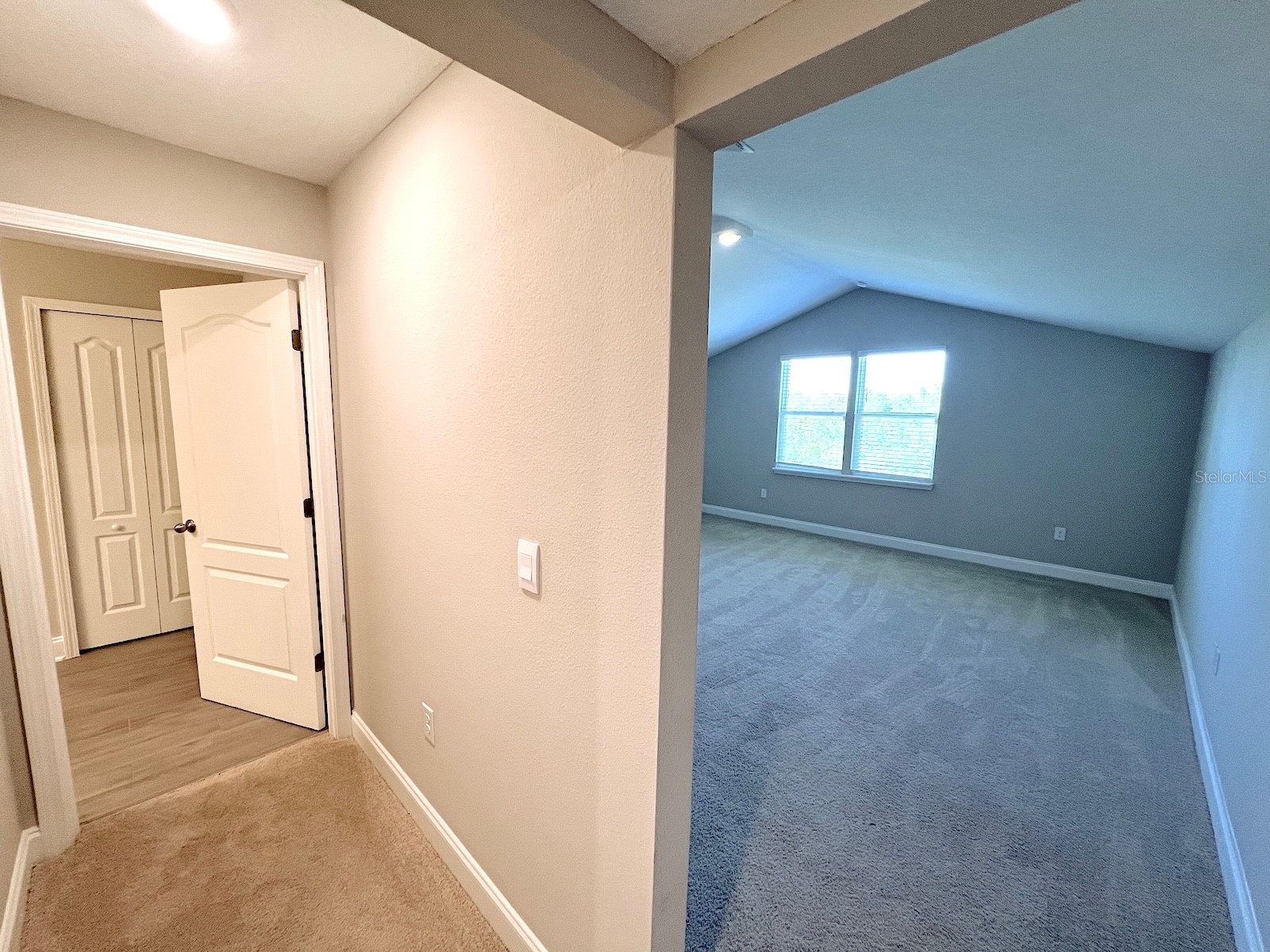 62 Lumber Jack Trail Palm Coast FL 32137 FC319624 image48