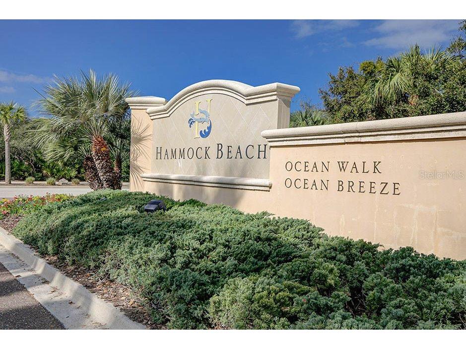 62 Oak View Circle W Palm Coast FL 32137 FC312705 image66