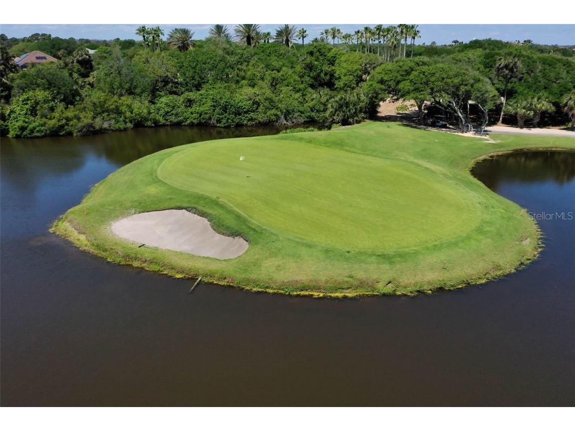 62 Oak View Circle W Palm Coast FL 32137 FC312705 image76