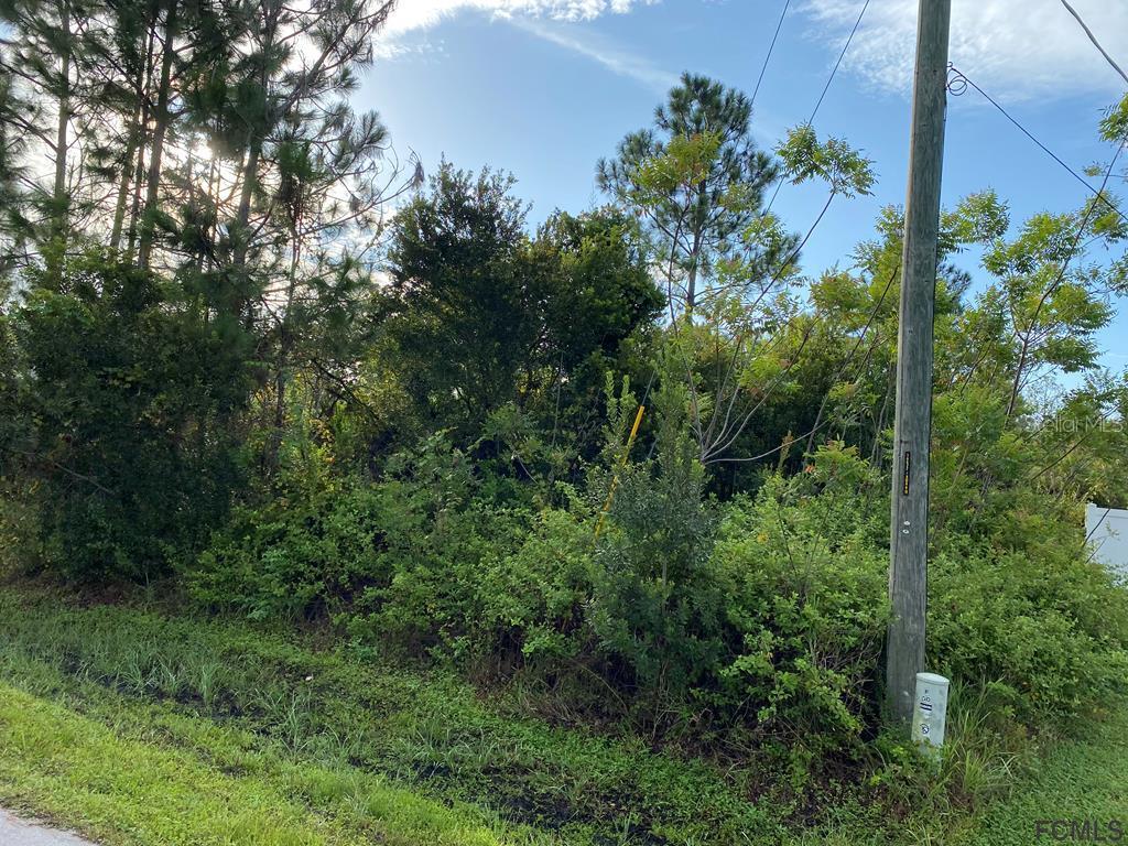 62 Prince Eric Lane Palm Coast FL 32164 FC270894 image2