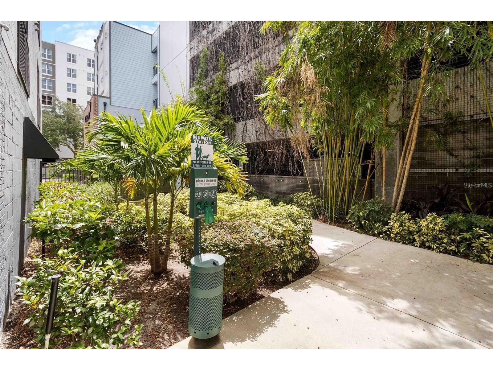 62 W Colonial Drive #301 Orlando FL 32801 O6373525 image30