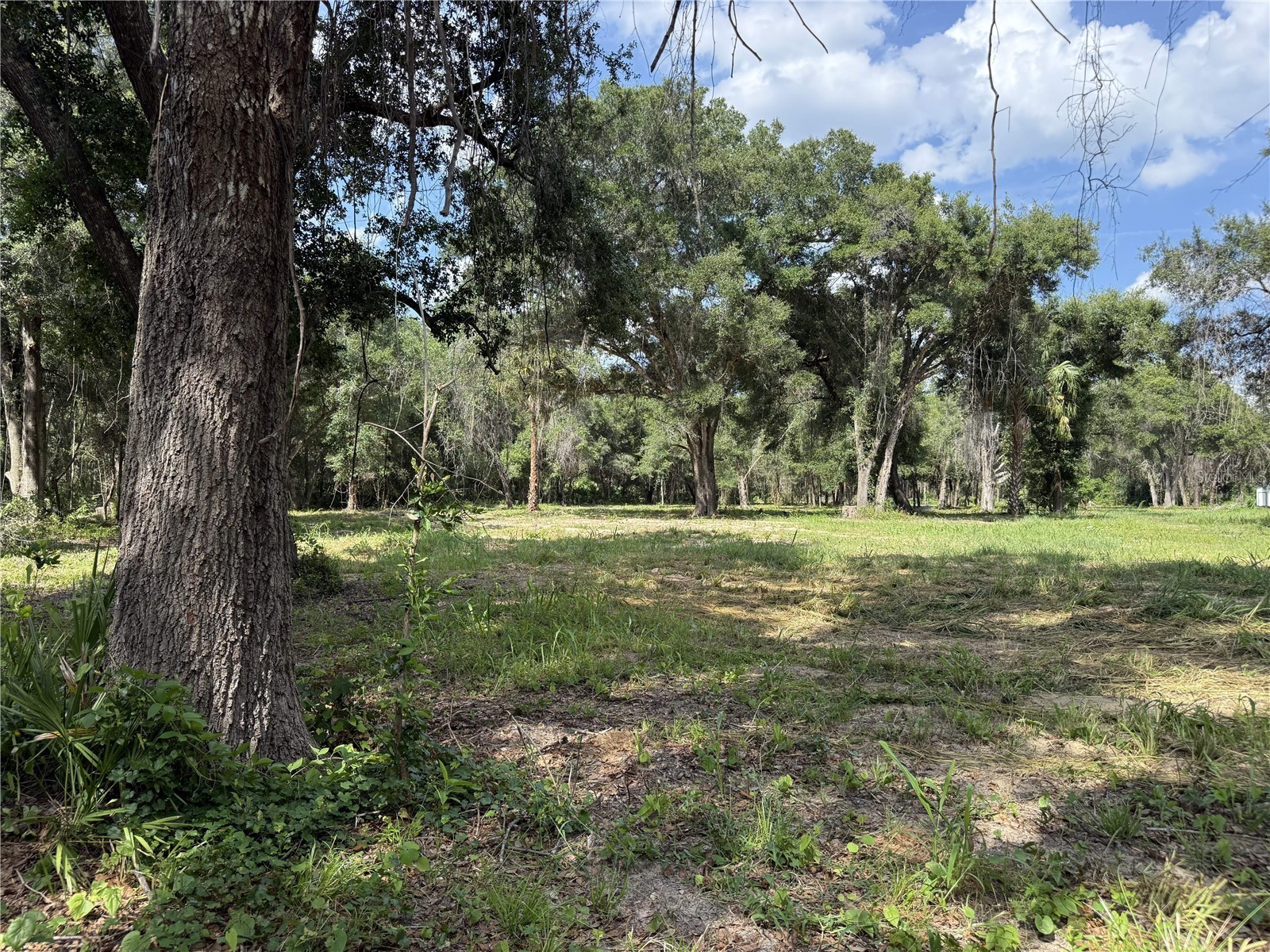 620 Cochran Road Geneva FL 32732 O6419713 image1