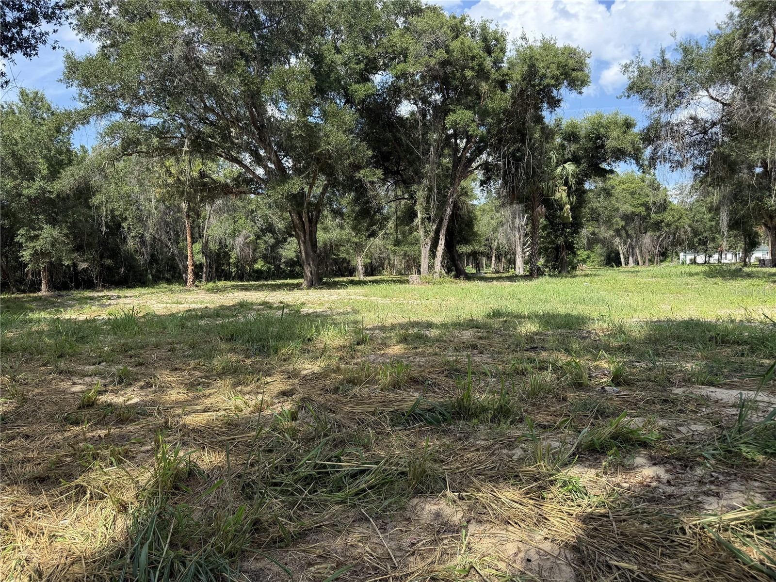 620 Cochran Road Geneva FL 32732 O6419713 image10