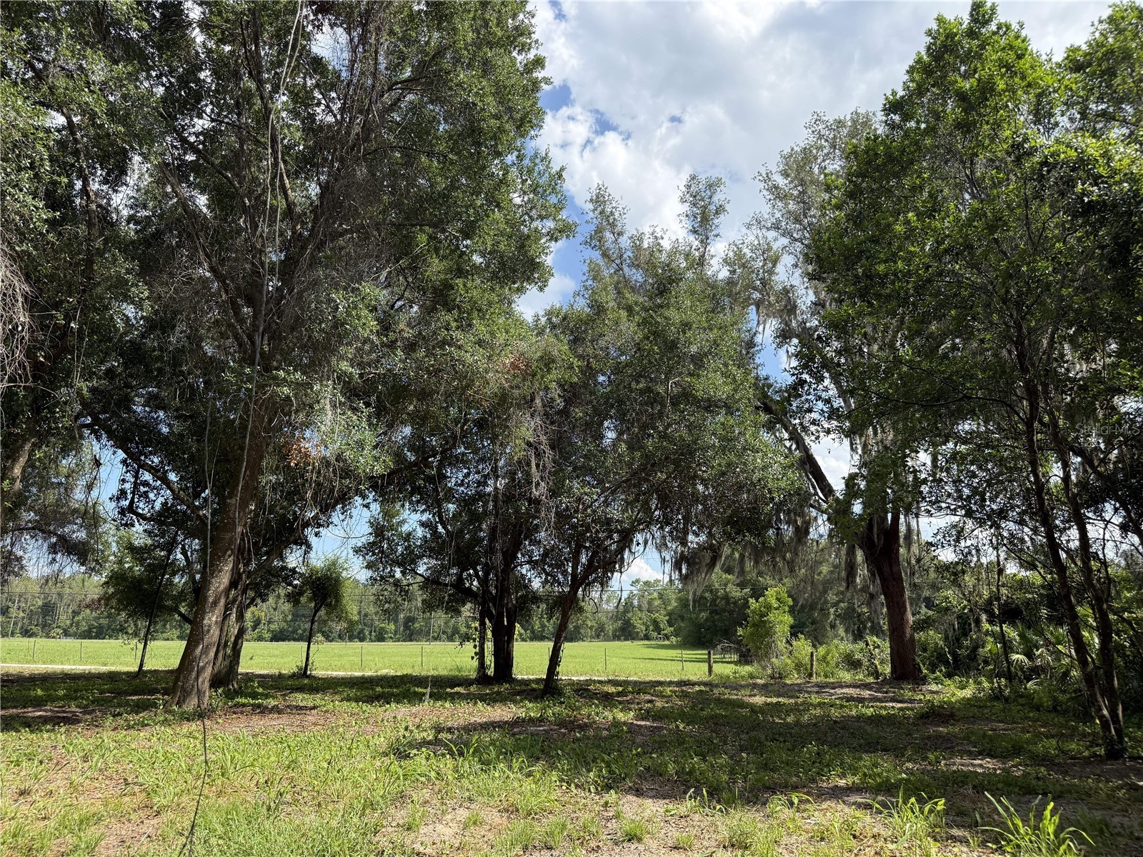 620 Cochran Road Geneva FL 32732 O6419713 image2