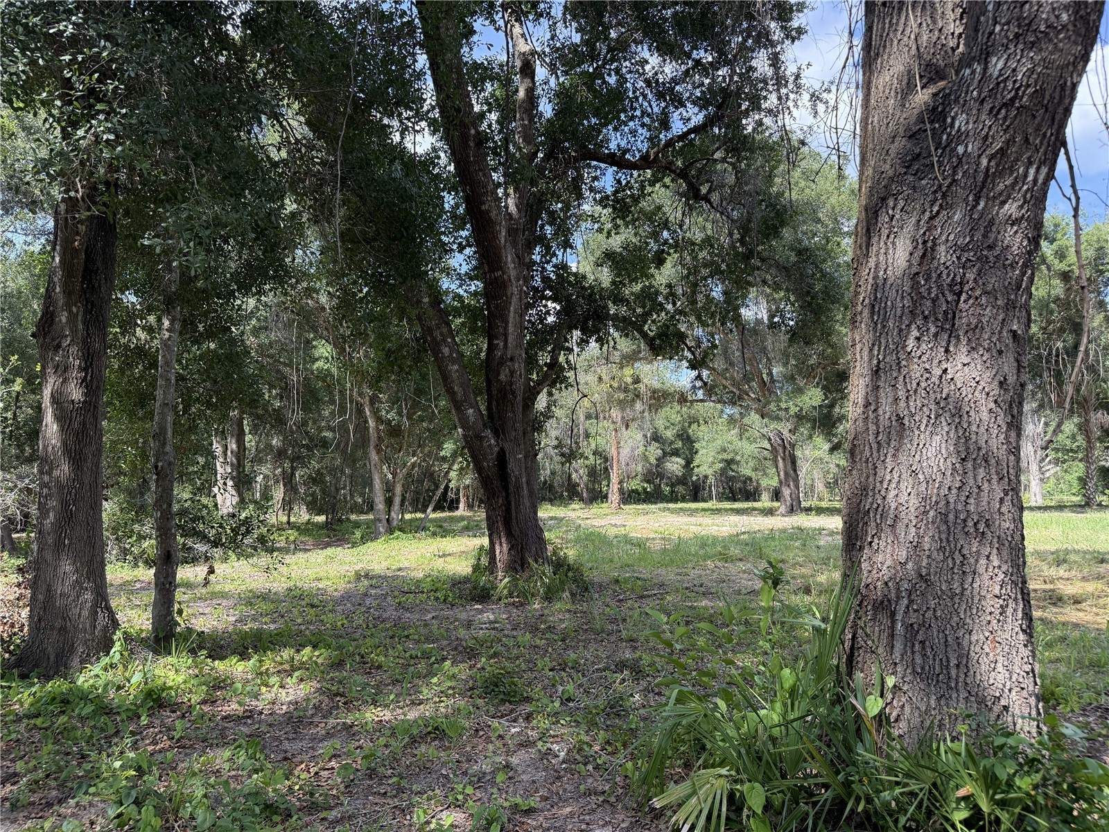 620 Cochran Road Geneva FL 32732 O6419713 image3