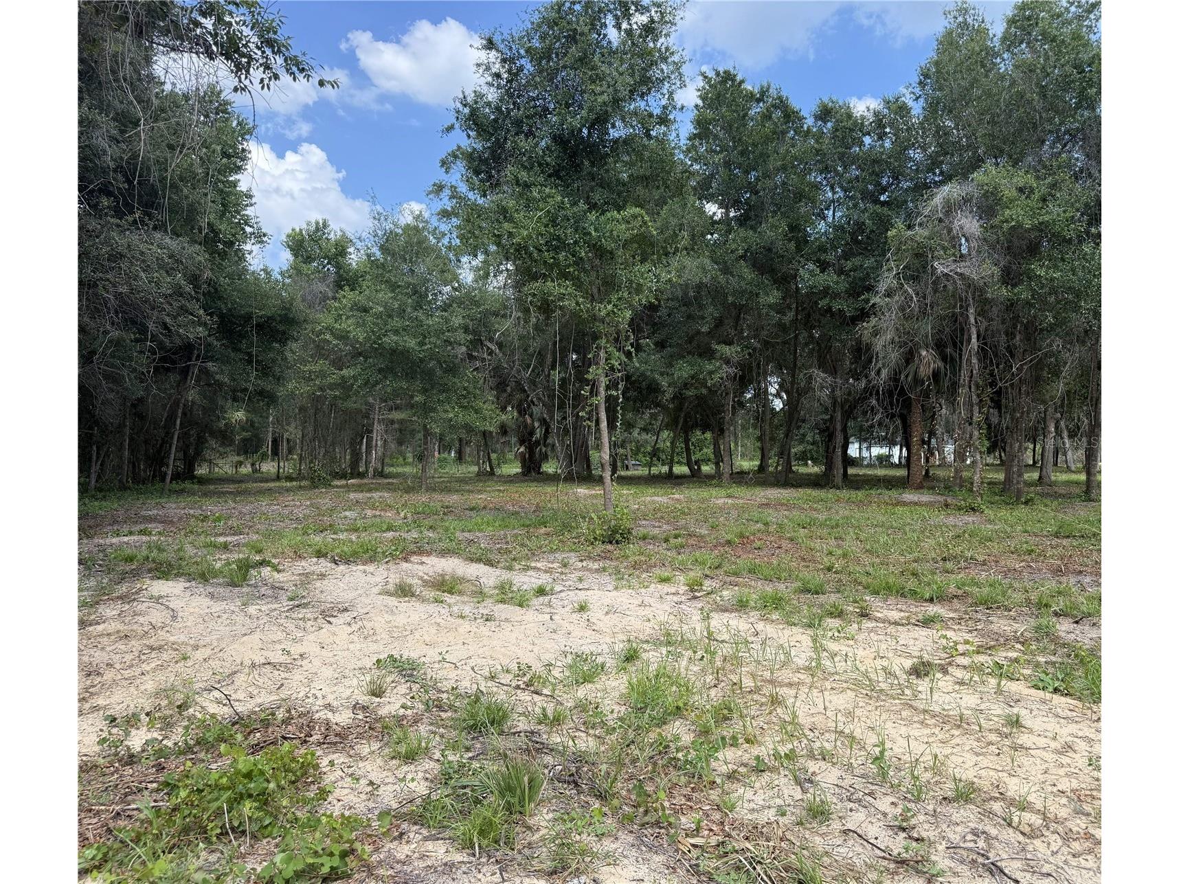 620 Cochran Road Geneva FL 32732 O6419713 image4
